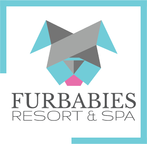 FurBabies Puppy Bowl 2026 — FurBabies Resort & Spa