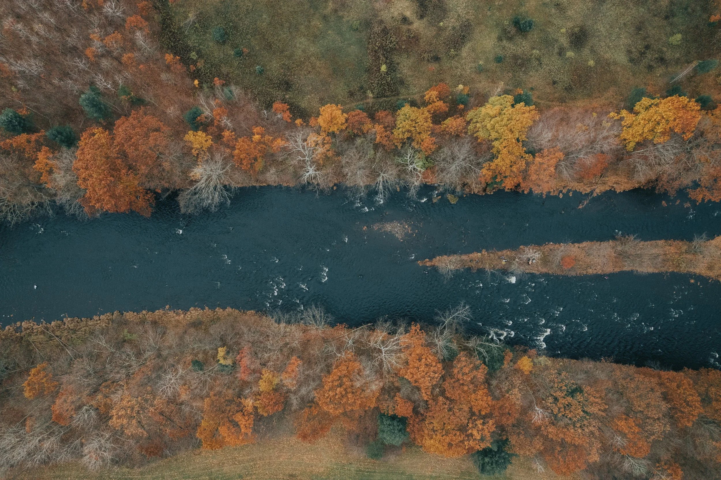 Pulaski Steelhead-3-5.JPG