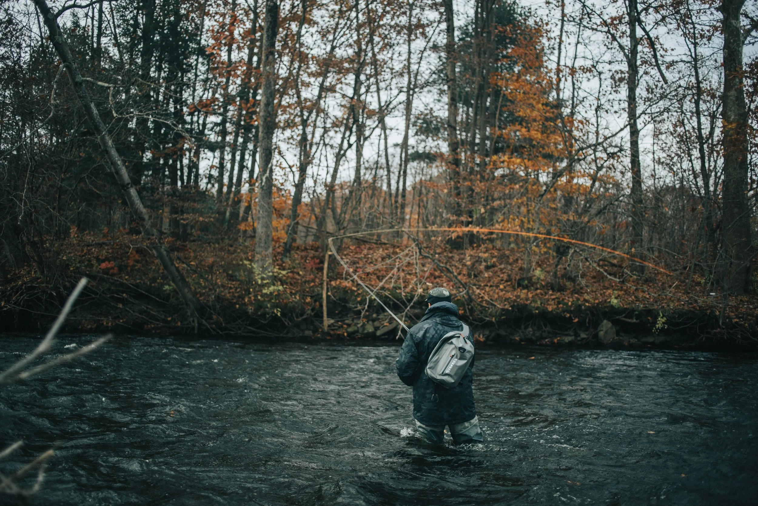 Pulaski Steelhead-3-13.JPG