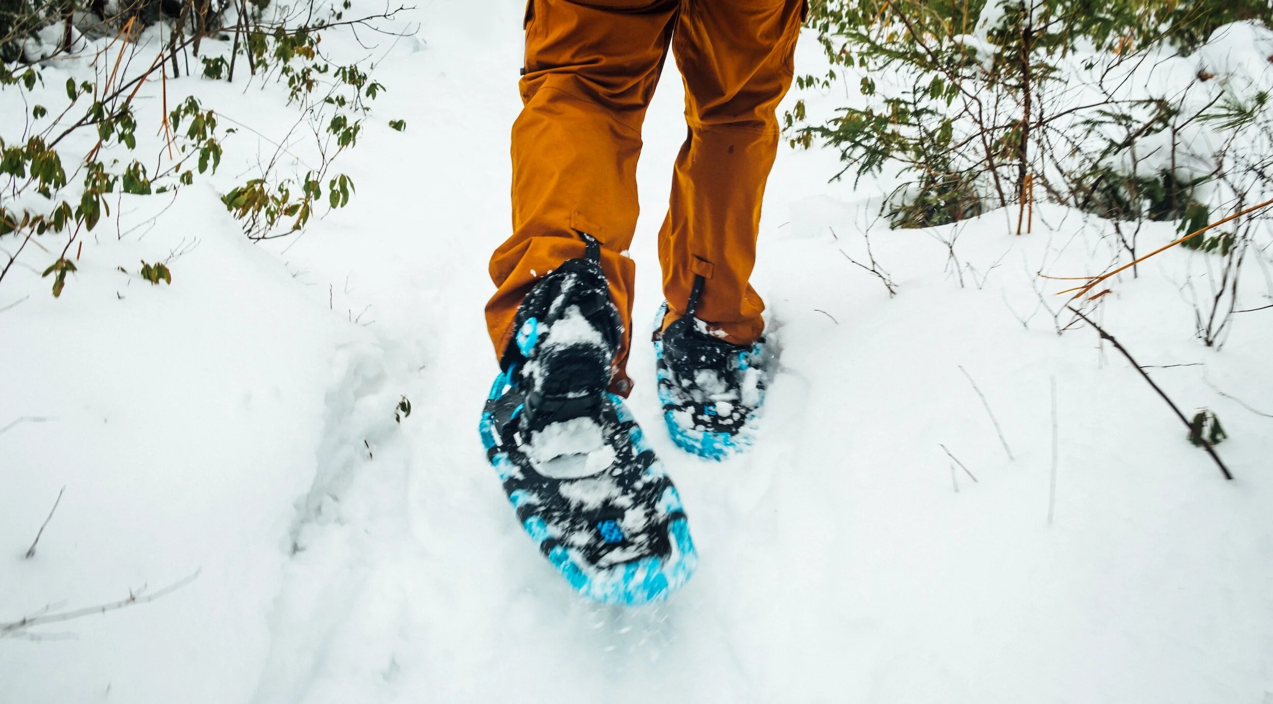 Enjoy Winter Outdoors: Kelowna's Best Snowshoe & Nordic Skiing Trails