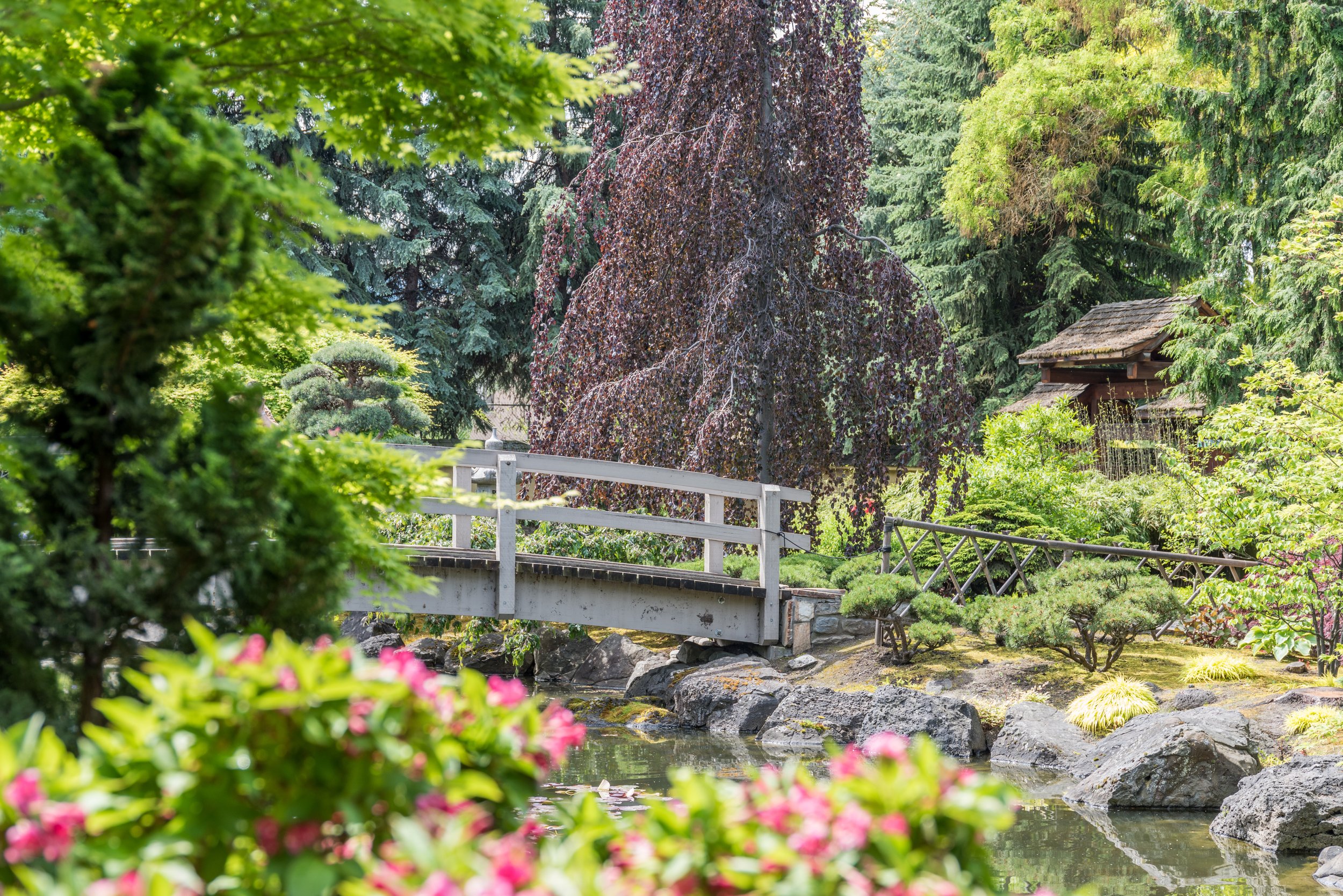 Instagrammable Spots in Kelowna (and What Time to Go)