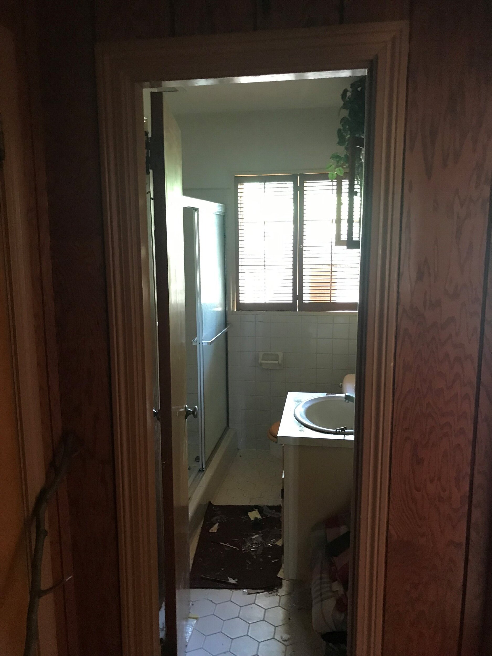 Hall+bathroom+2.jpg