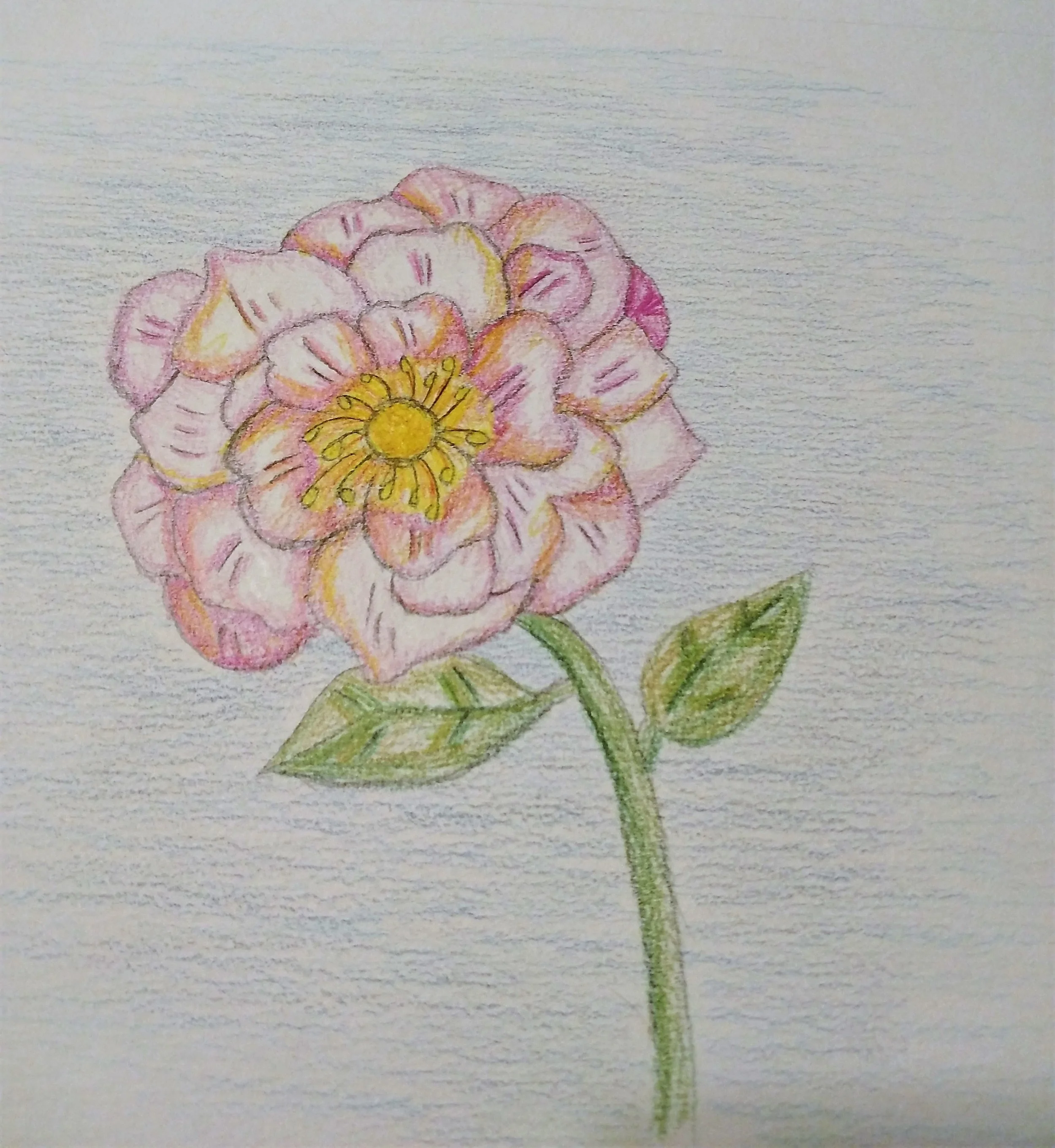 Creating my own rules meant reconnecting with my creative side.