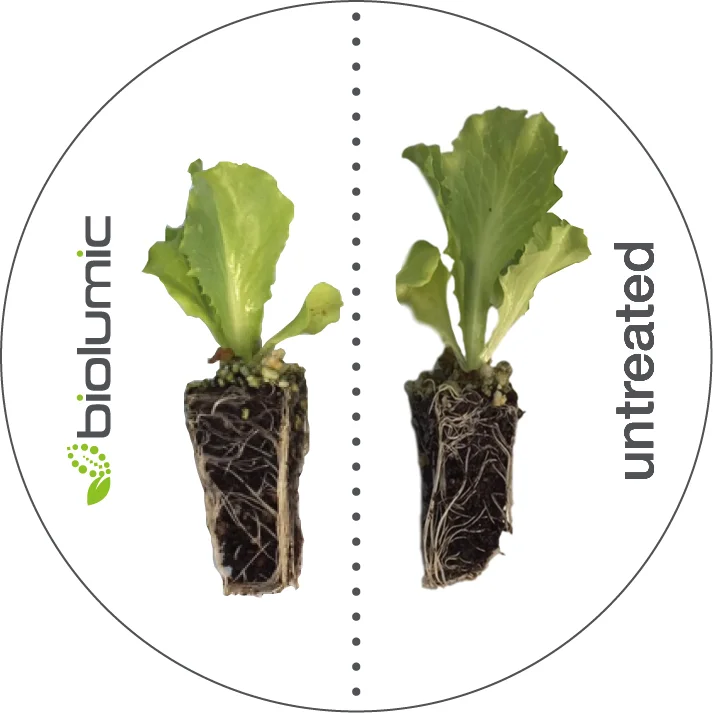 seed treatment diagram 2.jpg
