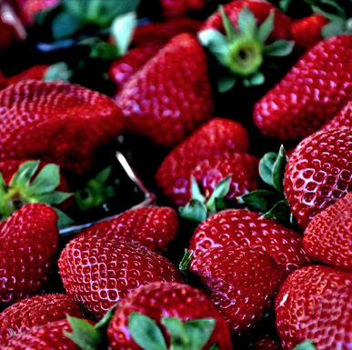 strawberries 387pix.jpg