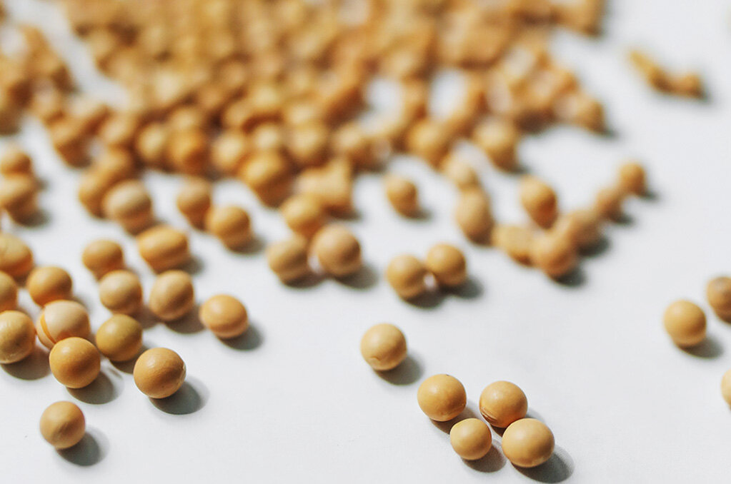 soy bean case study.jpg