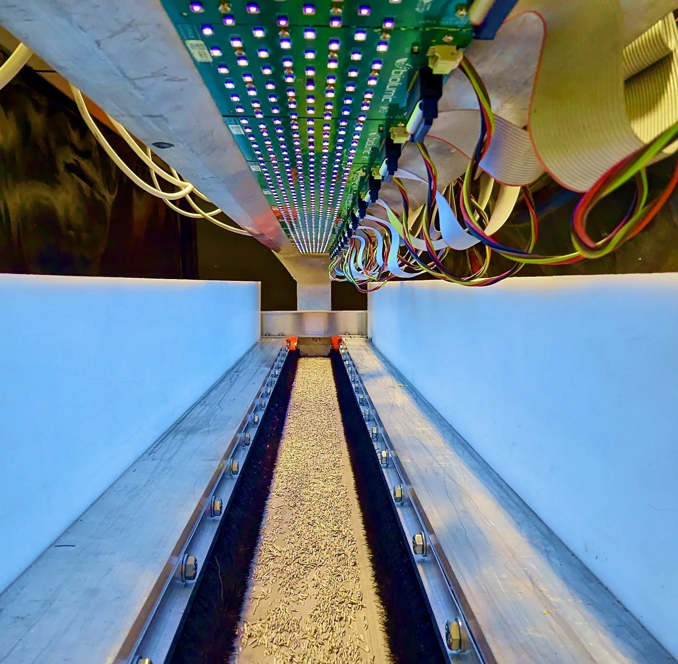 AgriZeroNZ Partners with BioLumic to Develop Low-Emissions Pasture Solutions