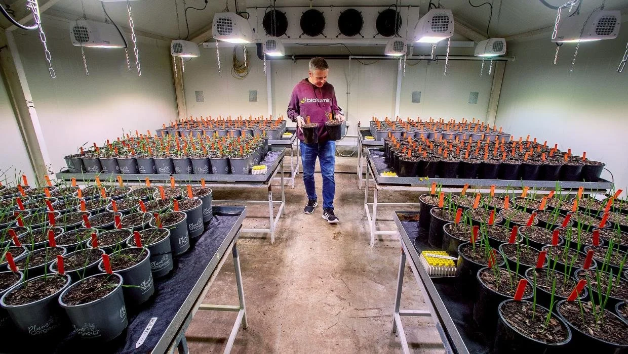 BioLumic’s innovative ‘light recipes’ impress award judges