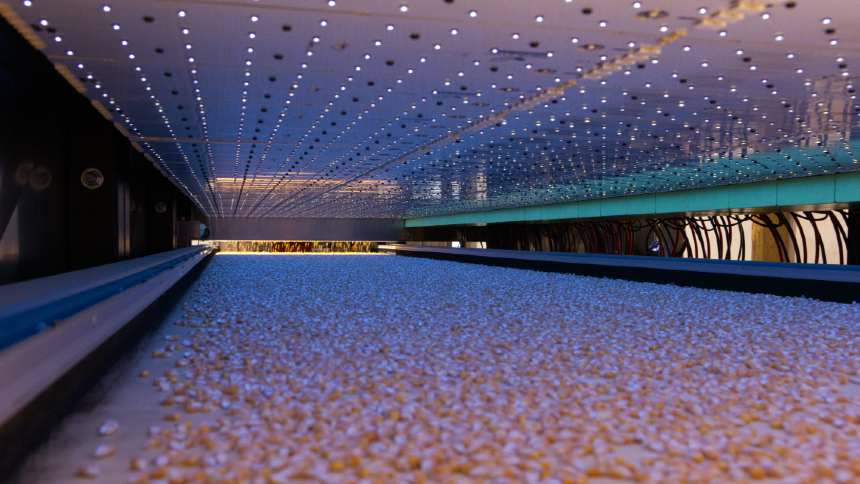 BioLumic Illuminates a New Path for Scheffer, GDM, and TMG in Seed Improvement