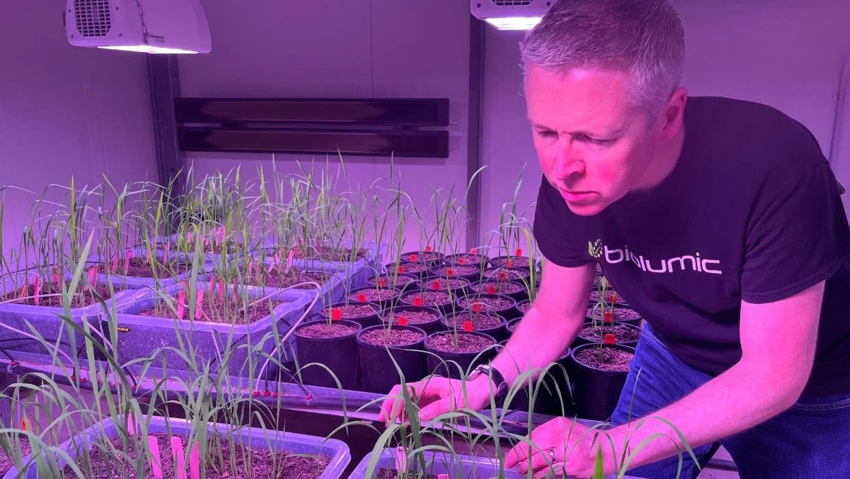 BioLumic’s UV light treatments for seeds promise productivity revolution