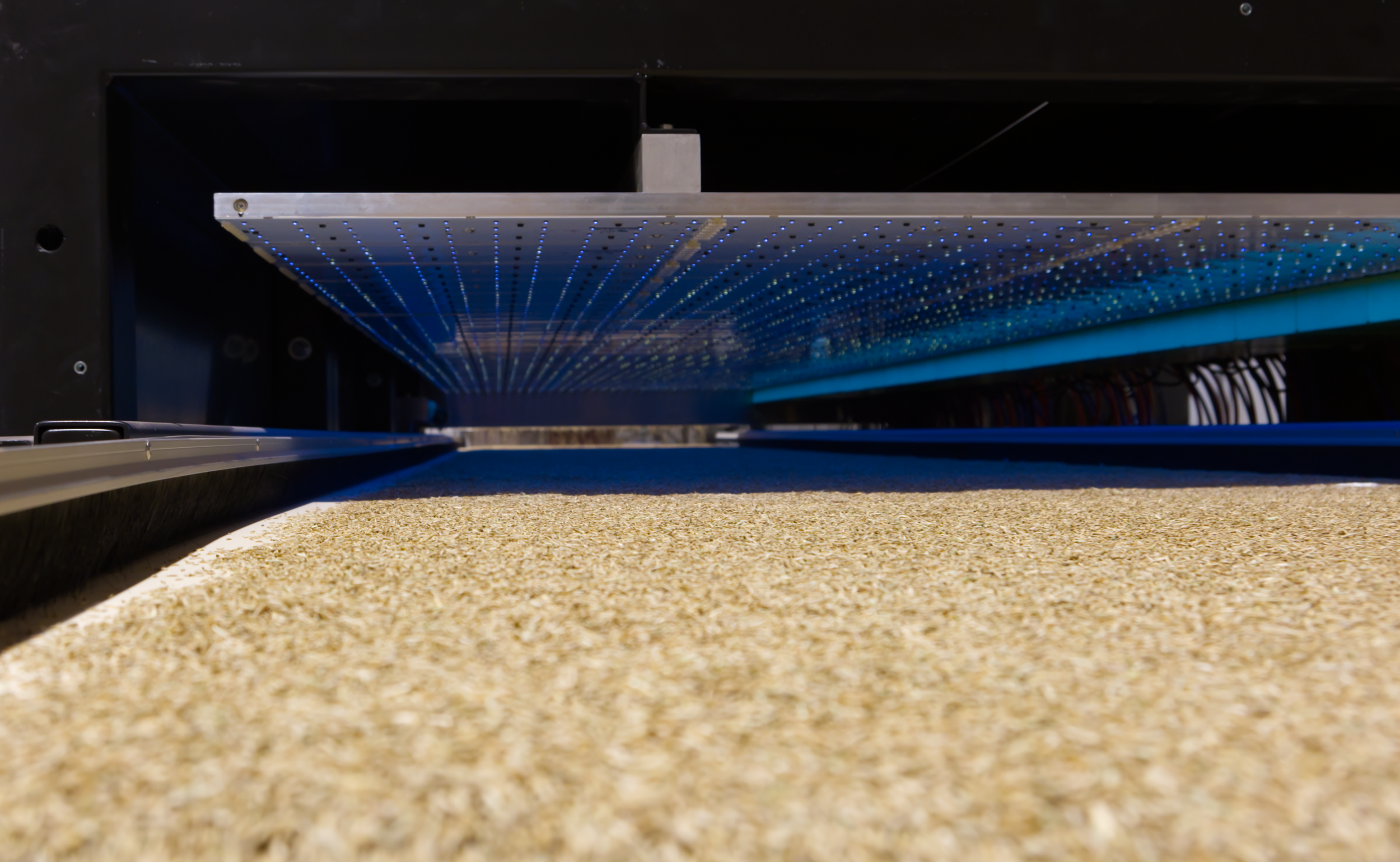 Kiwi companies Leaft Foods and BioLumic named in Time magazine’s Best Inventions 2026 list