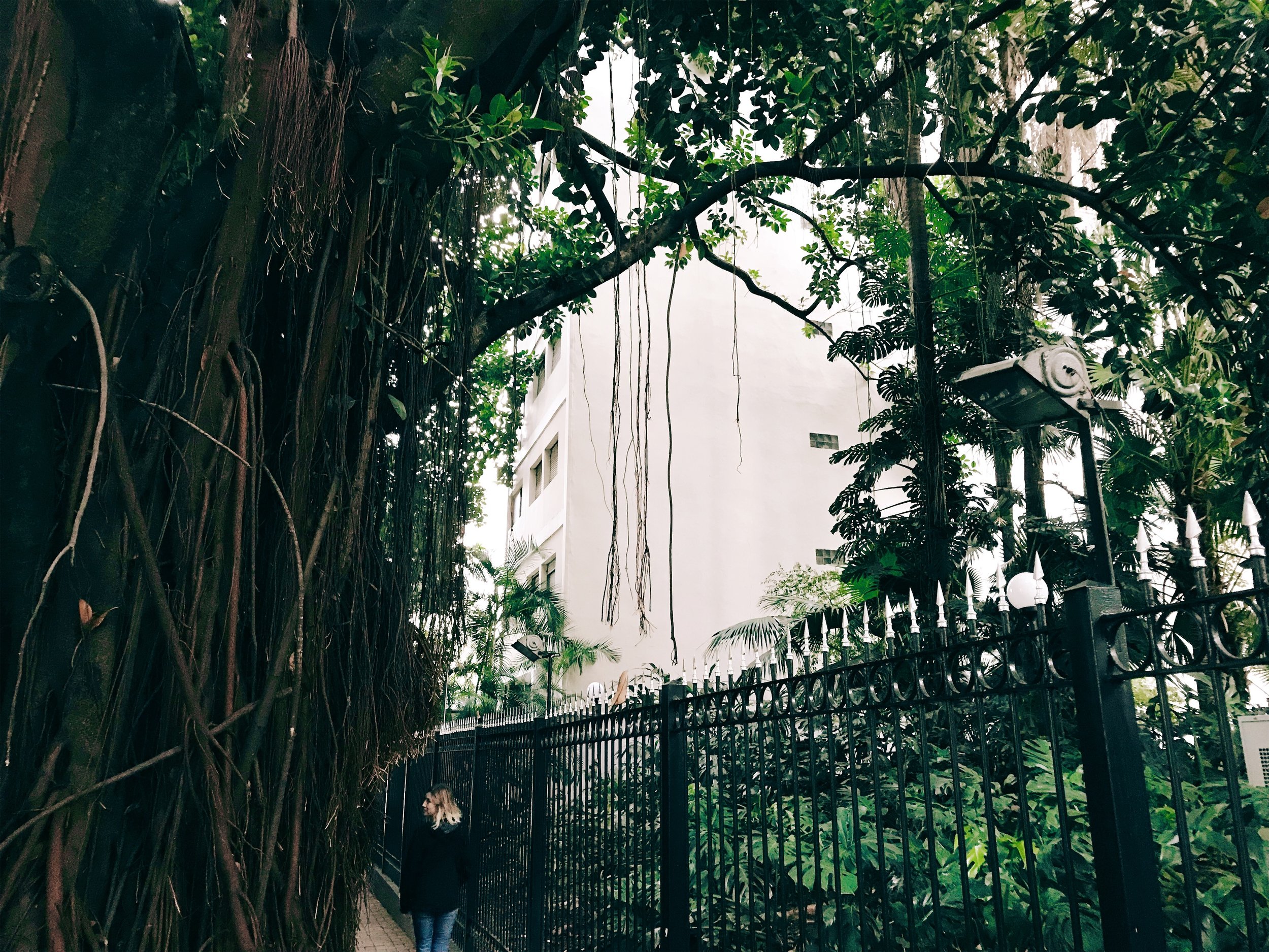 JPEG image-871811569B77-21.jpeg