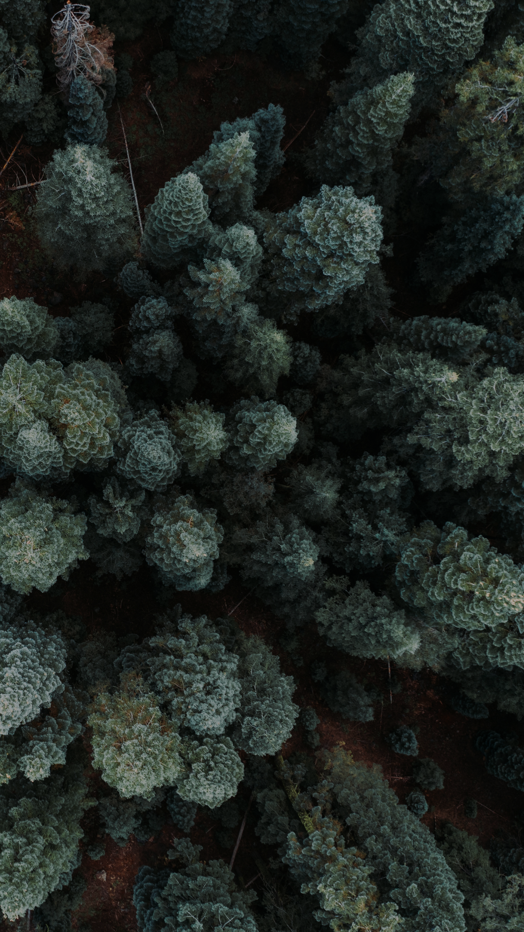 What is Your Hope Anchored in?