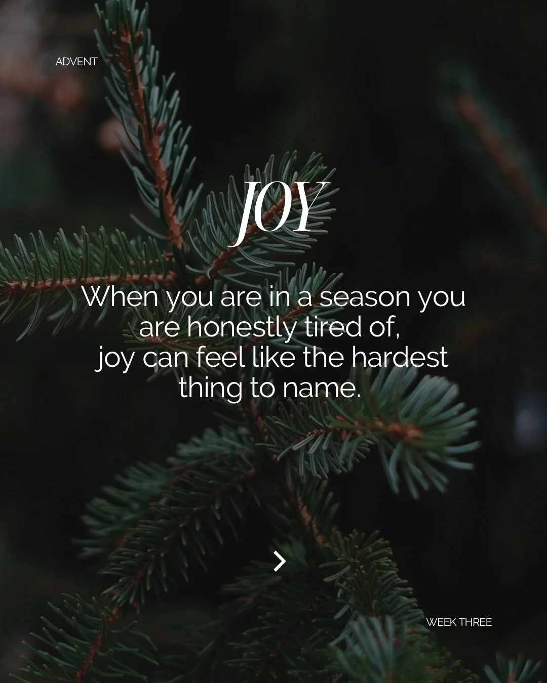 For the one searching for joy at Christmas ❤️
Let us cling to the one true Light and may He fill us with His joy. 

Read the full version on Substack. 

#joyinthelittlethings #advent #christmastime #heisfaithful #findingjoyinthejourney #findingjoy #a