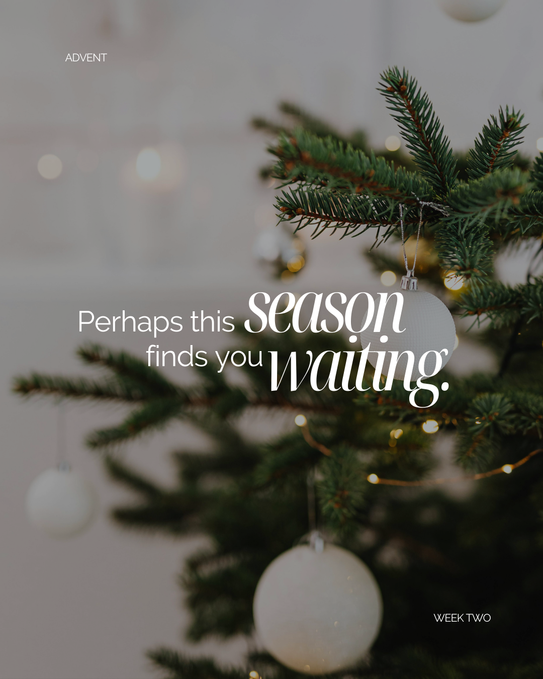 How Do You Find Peace When the World is Loud? 