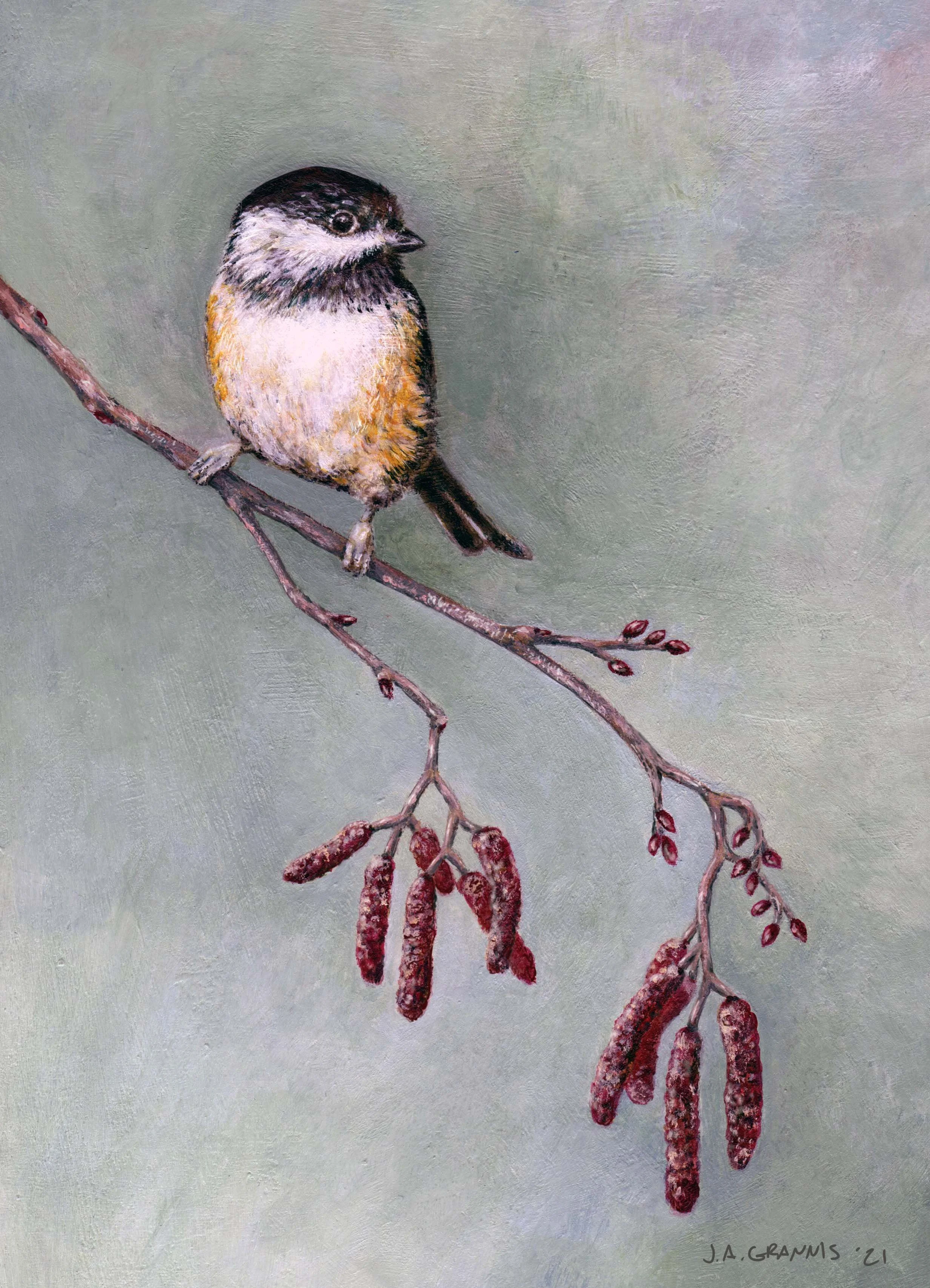 JGrannis_Chickadee_signed.jpg