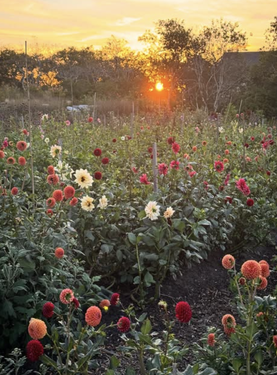 Screenshot 2026-04-07 at 5.42.05 PM.png