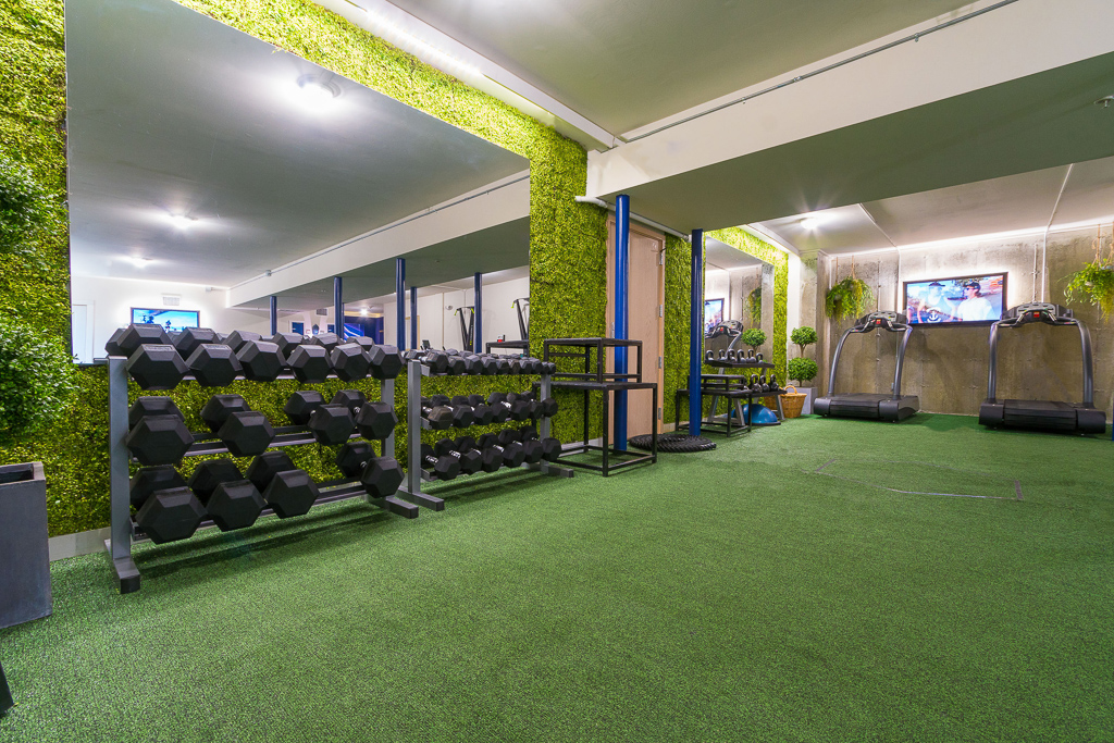 Bringing The Outdoors Inside A Basement Space Hafsa And Co The Outdoors Inside A Basement Space, Artificial Grass For Basement