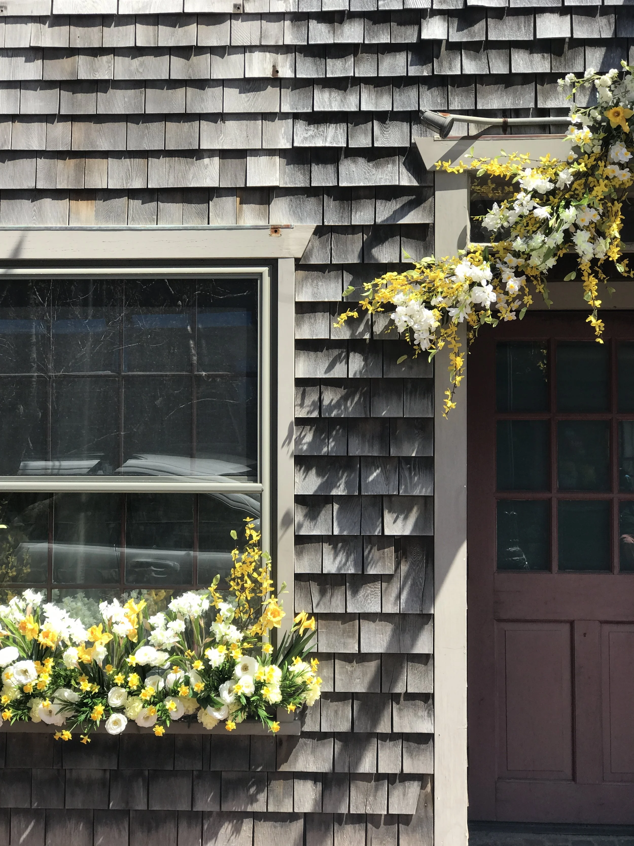 IMG_3848.JPG