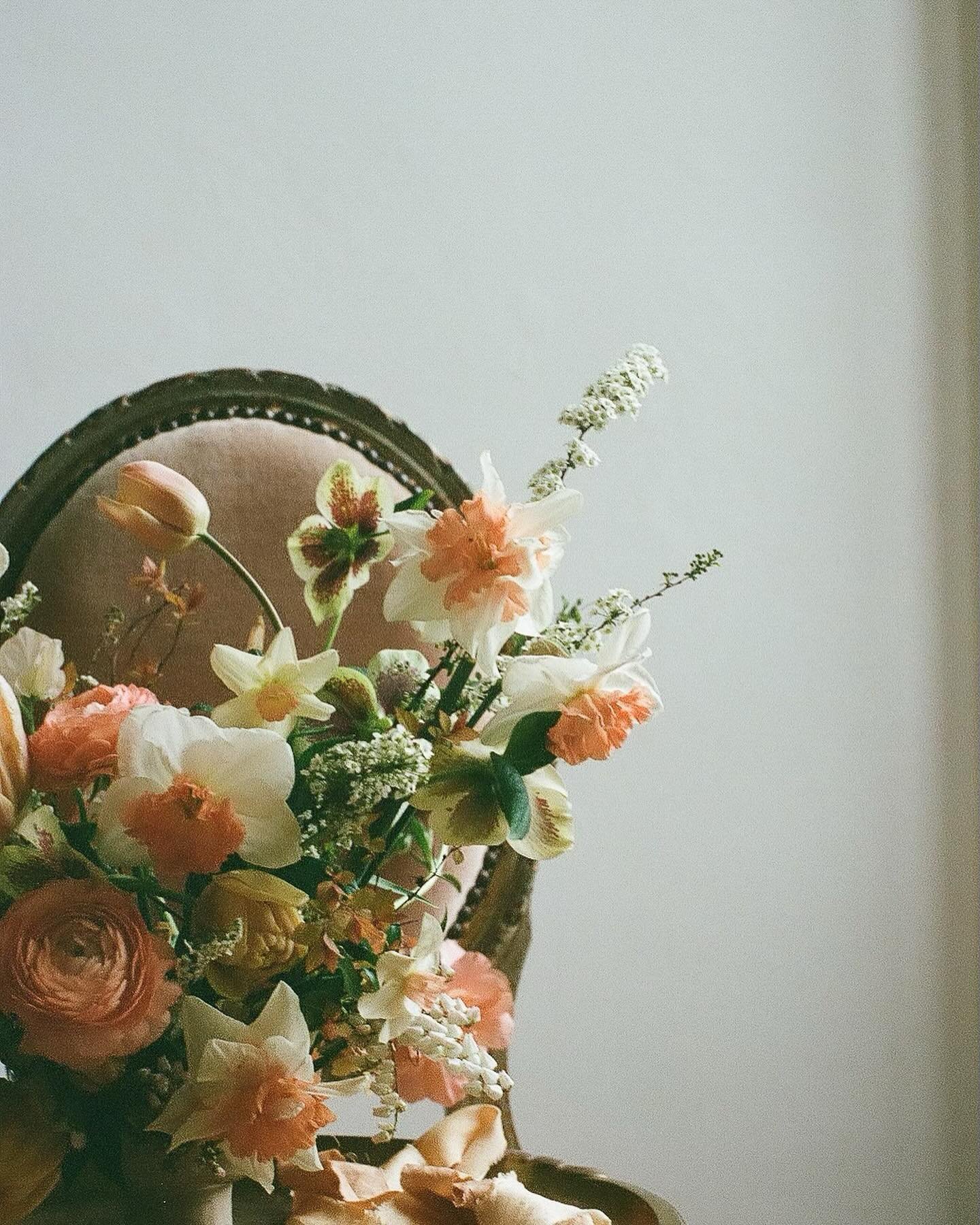 🎞️ from Belgium - the creamy colors bring me right back to the Belgian countryside and Emily&rsquo;s incredible gardens. A slower pace, a different feeling 🤍
.
#floraldesign #arrangement #fieldtovase #seedtostem #cutflowers #cutflowergarden #Belgiu