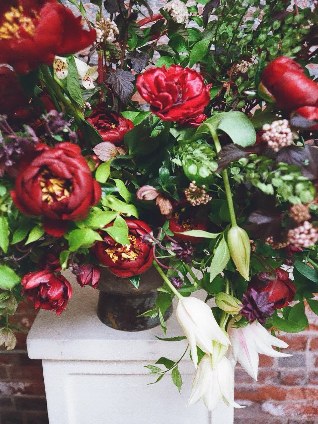 When you get your film back from the @sarah_winward workshop at @thefloralreserve - hosted by flower queen @flowersbysemia 🫠🙌🏽🌹🎞️
.
#sarahwinward #thefloralreserve #providence #boston #undertheflowerspell #floraldesign #flowerstalking #flowersta