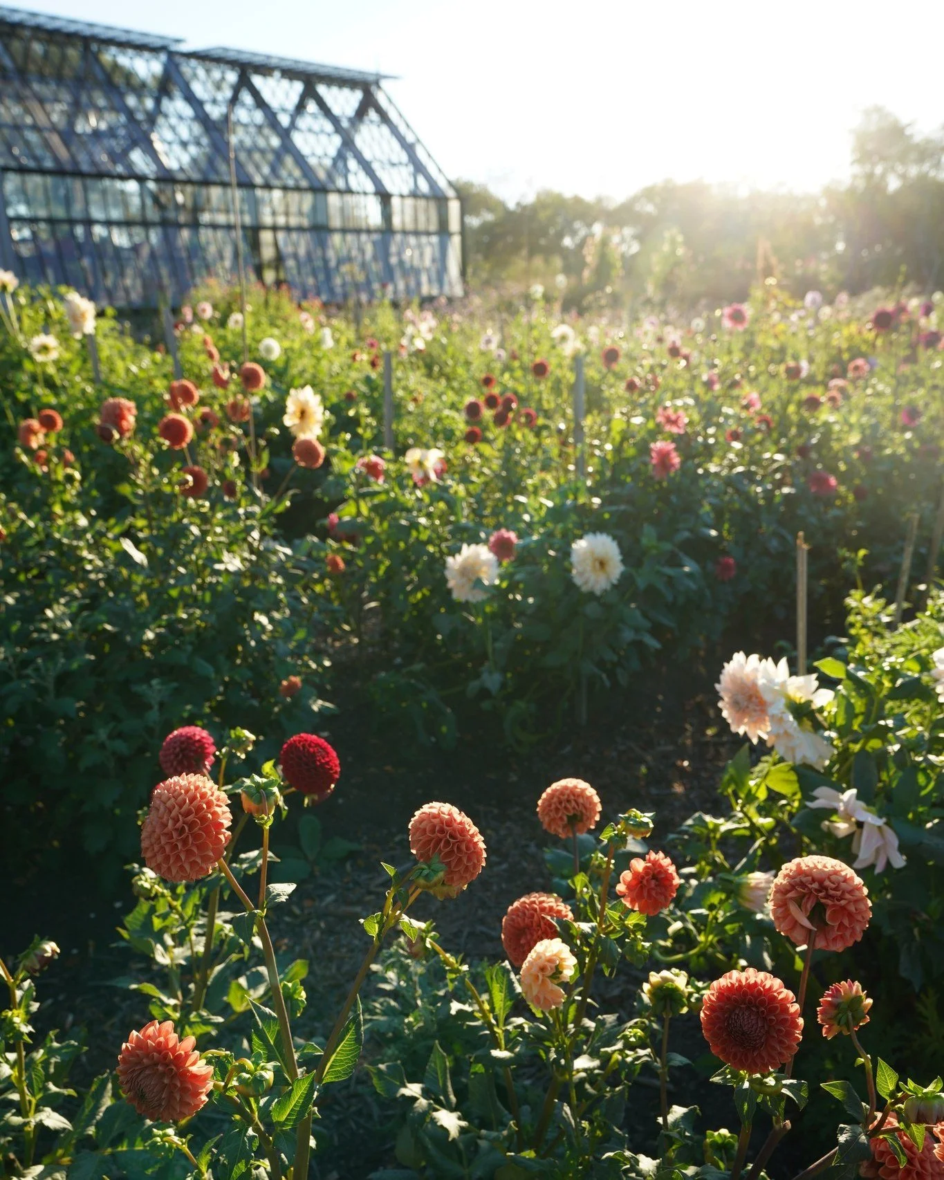 On July 8th and 9th, I have the absolute joy of welcoming the lovely and wildly talented @ariellachezardesign and @lesliej  for a one-of-a-kind workshop at my beloved friend @fleurnantucket magical flower farm ✨🌸

When Melinda&rsquo;s garden is in f