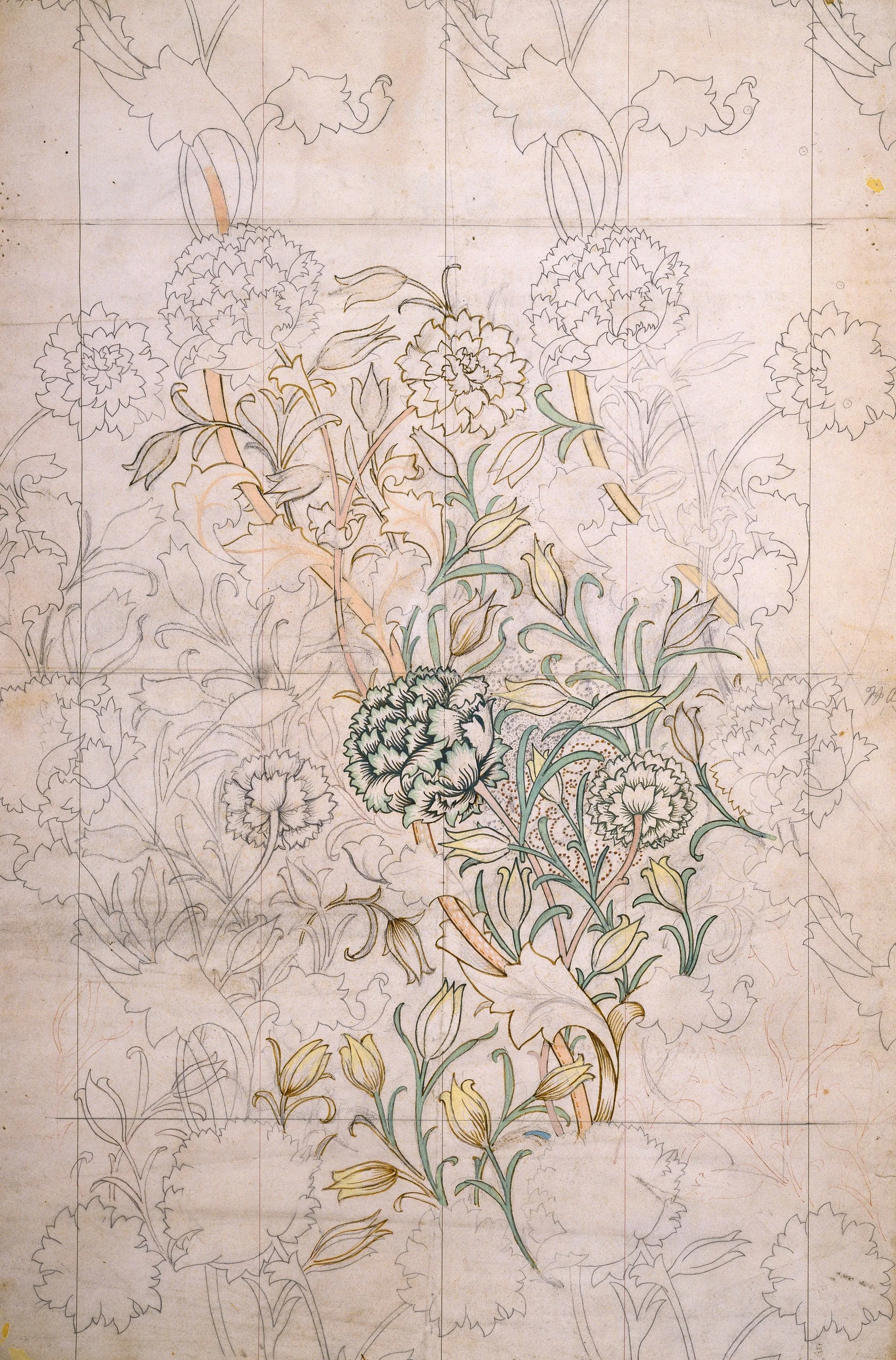 A detailed botanical illustration of flowering plants with intricate line work, some parts are partially colored in green, yellow, and orange, showing various flowers, leaves, and stems.