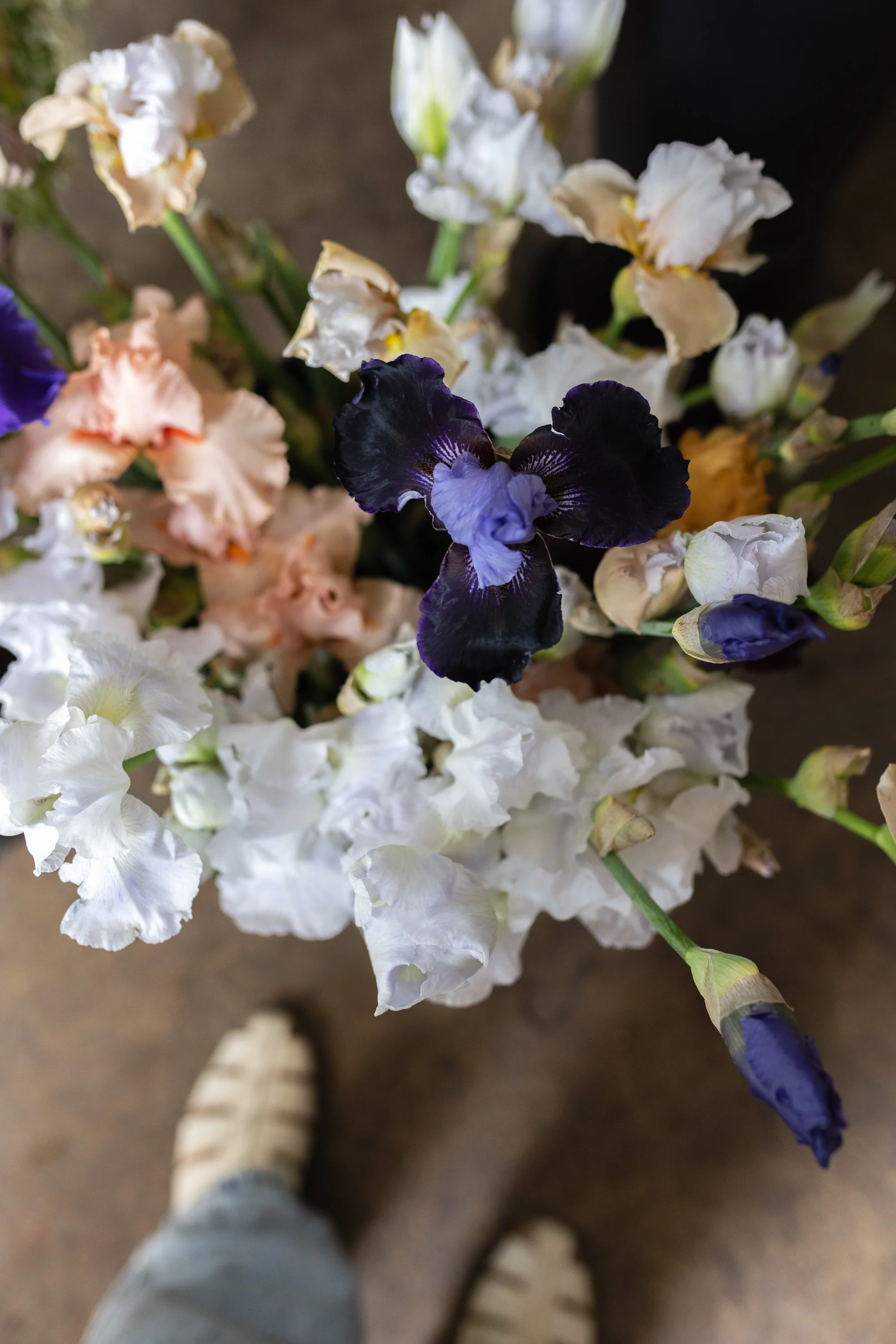 A person standing on a brown floor, wearing gray pants and white shoes, looking down at a large bouquet of white, cream, and dark purple iris flowers.