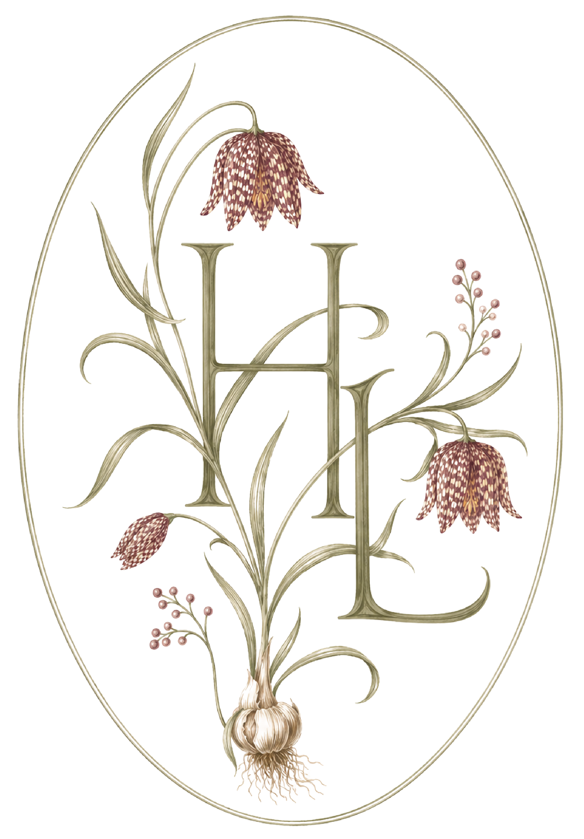 Illustration of a flowering plant with a bulb base, showing a large pink and brown patterned flower, smaller surrounding buds, and leaves, enclosed within a teardrop-shaped border.