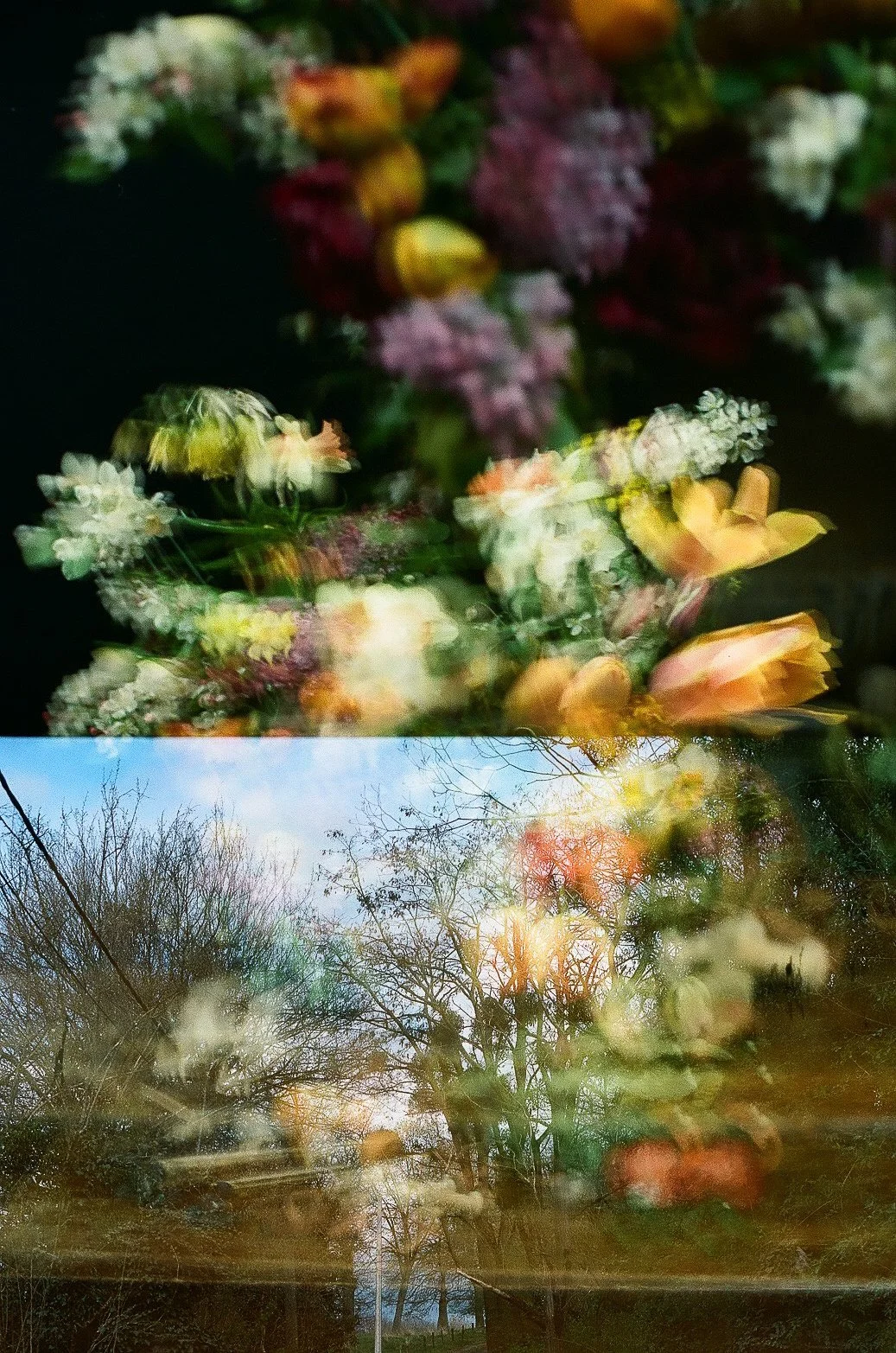 A double exposure photograph showing a close-up of colorful flowers at night and a daytime scene of leafless trees against a blue sky with some clouds.