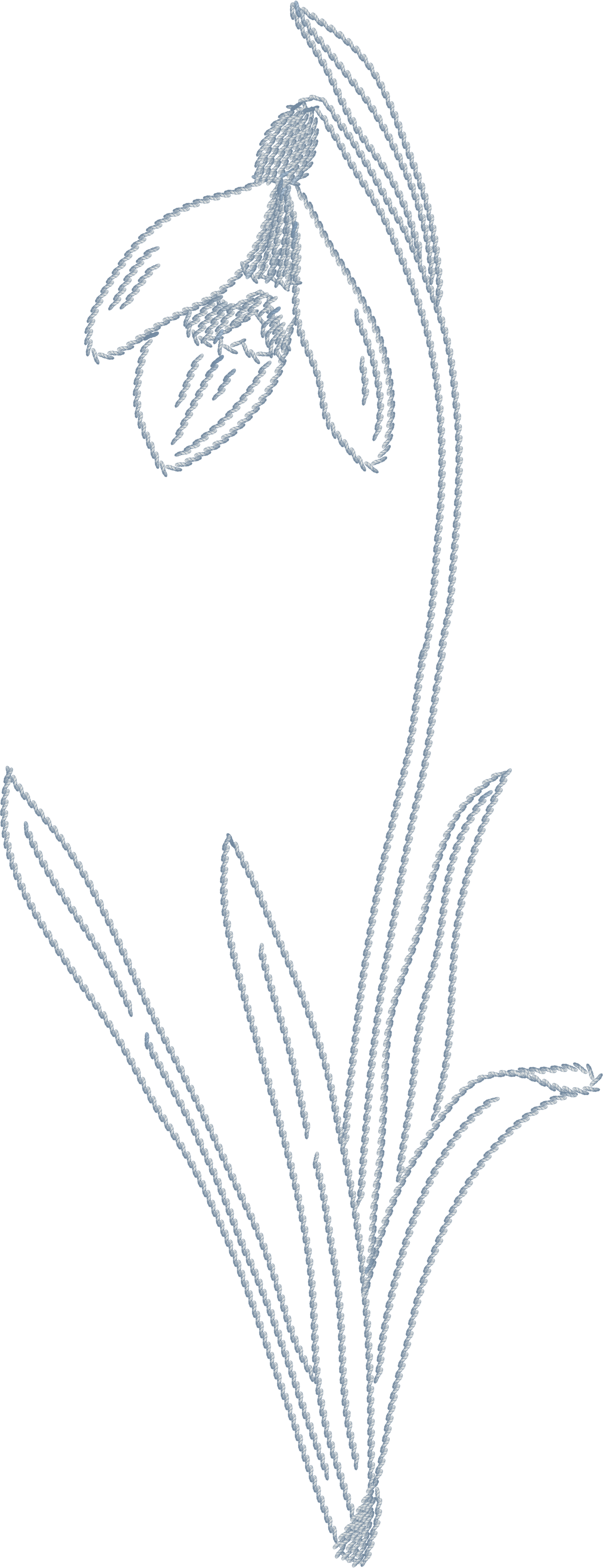 White embroidered outline of a flowering plant with grass-like leaves and a bell-shaped flower hanging from a curved stem, on a black background.