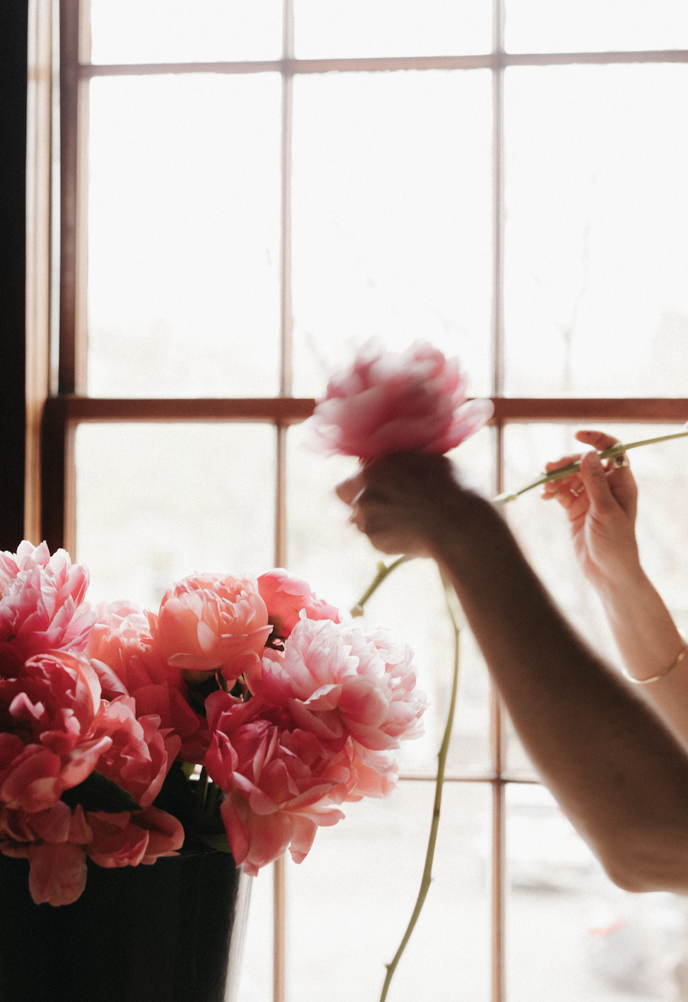 Person arranging pink peony flowers in a black vase near a window.