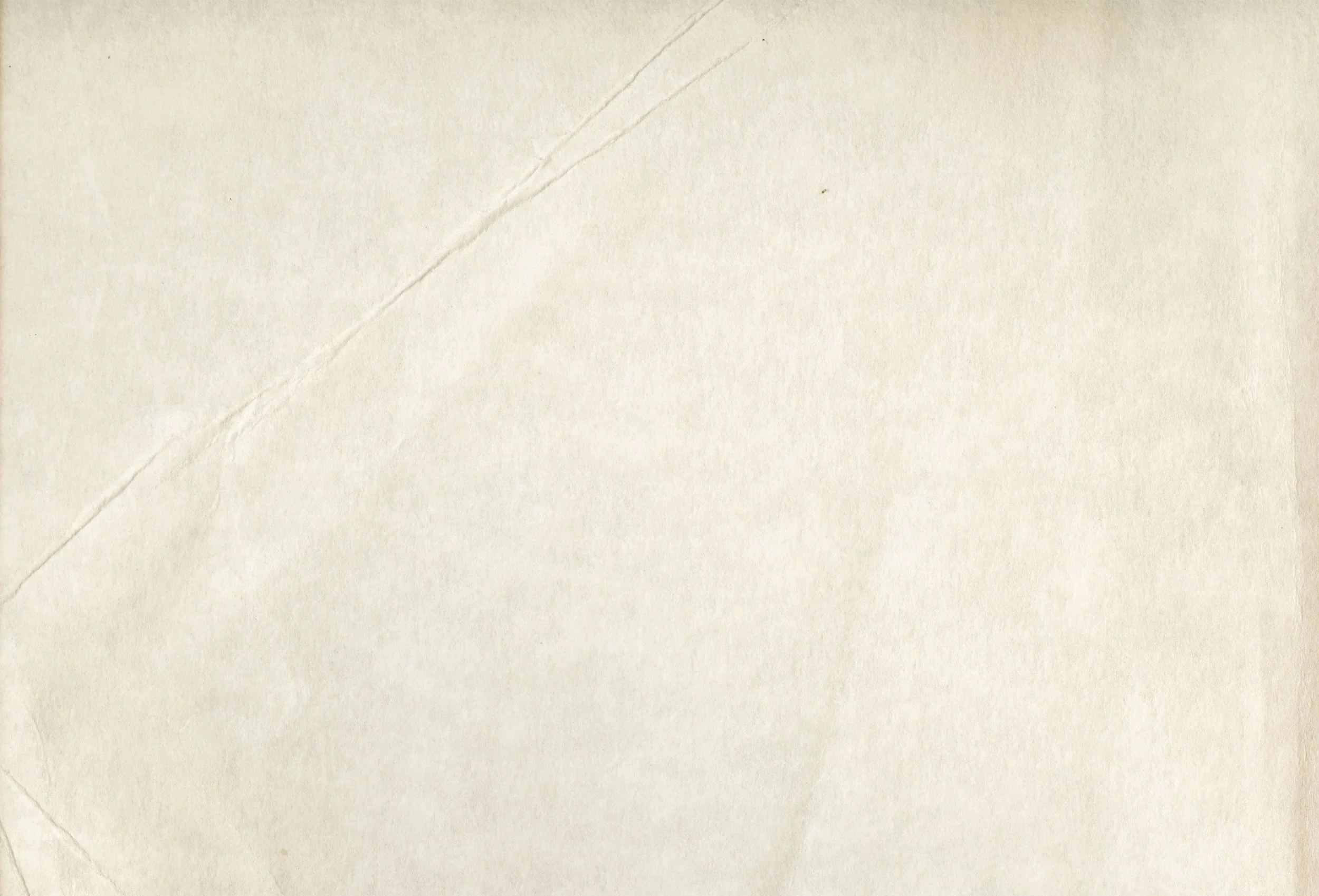 Close-up of a piece of white paper with visible creases and faint lines.
