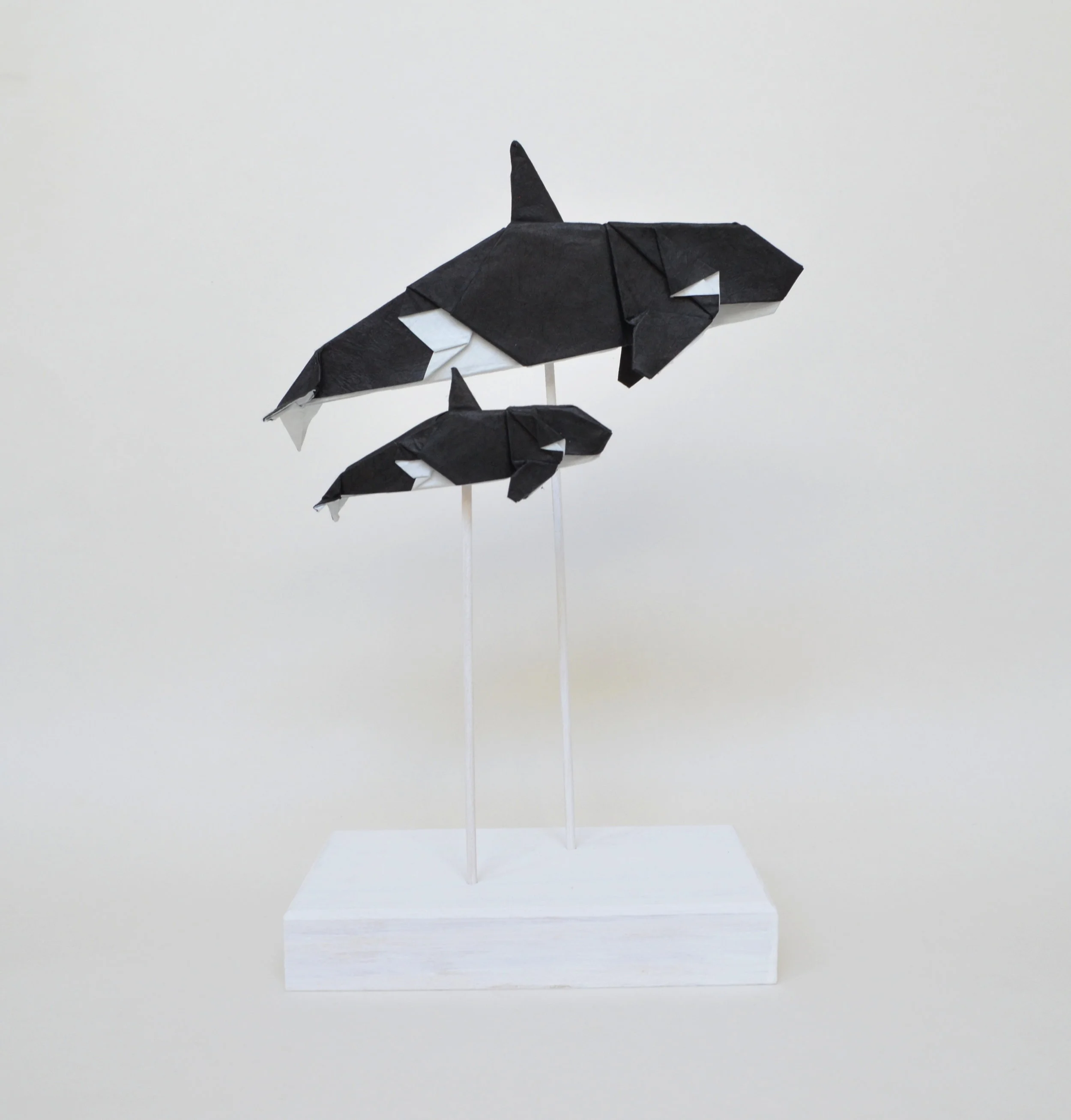 orcas1.JPG