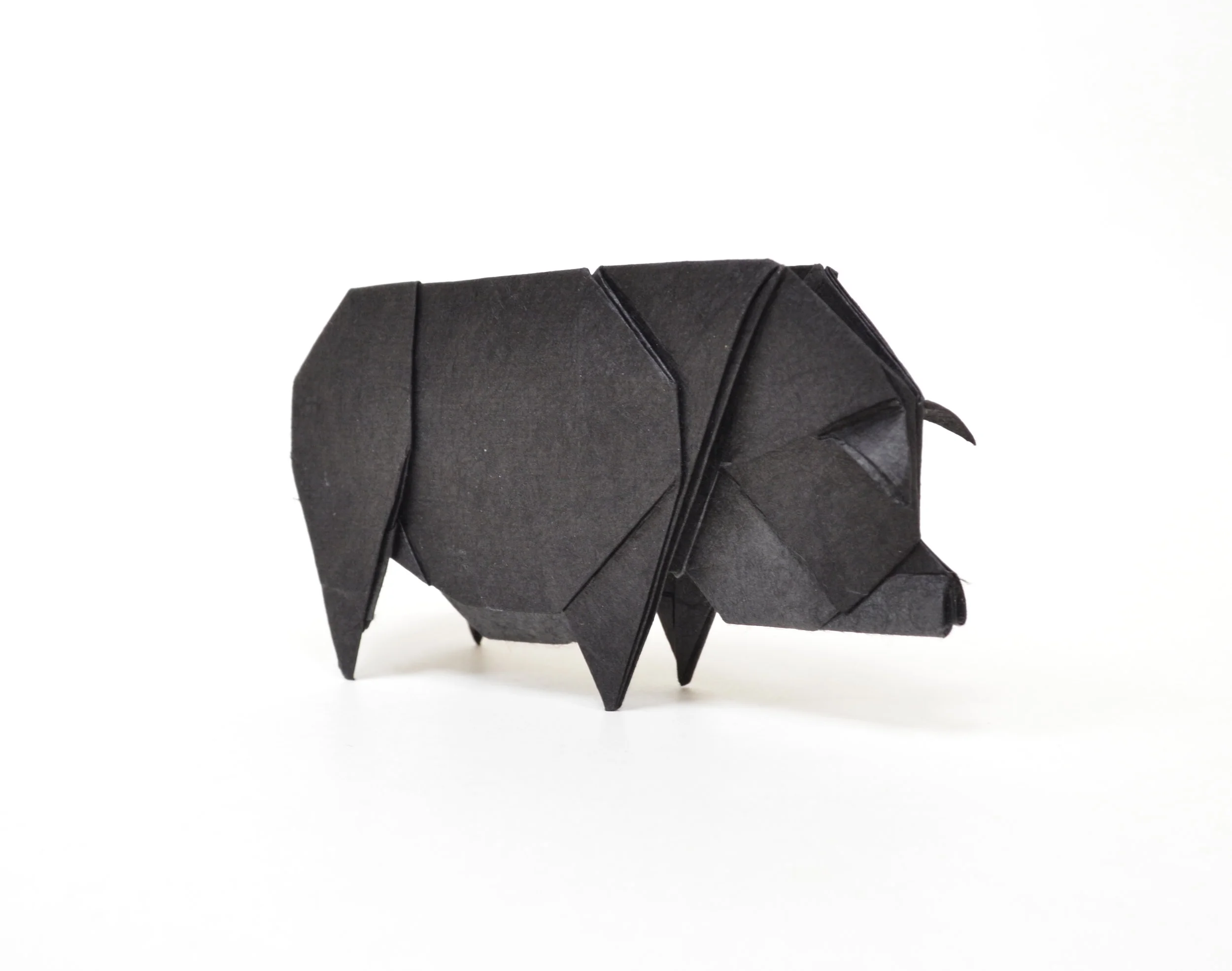 potbelliedpig2.JPG