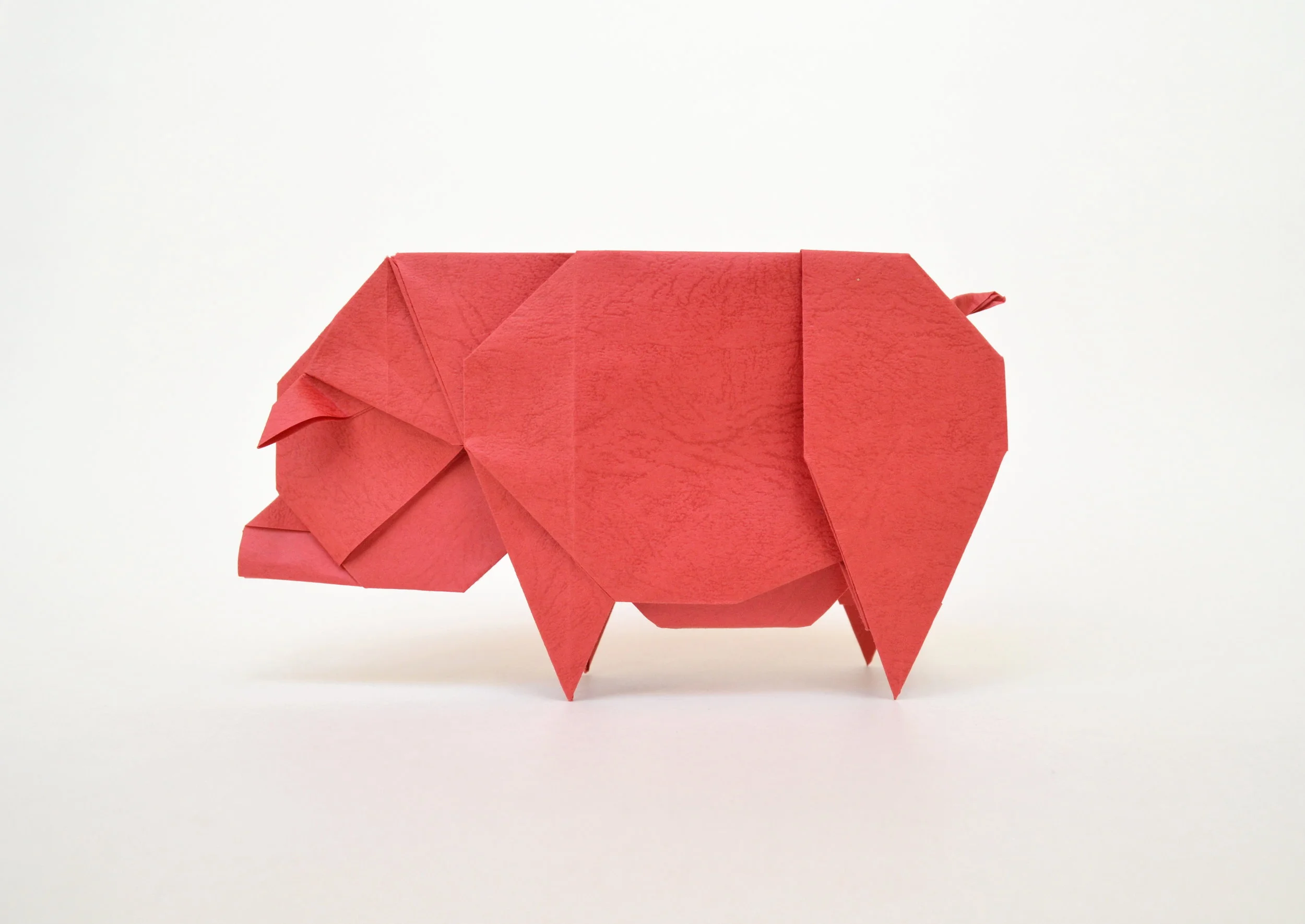 redpotpig.JPG