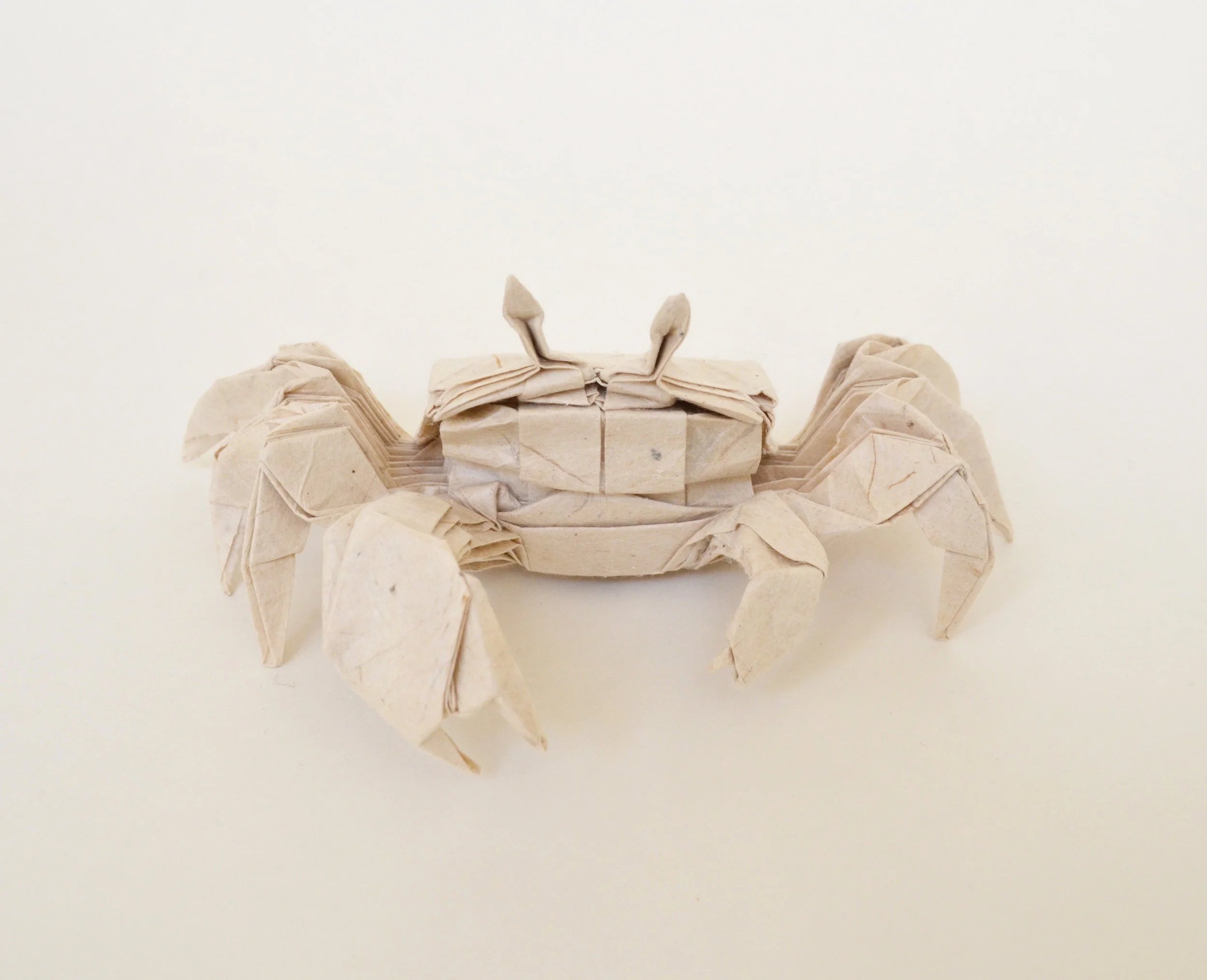 ghostcrab4.JPG