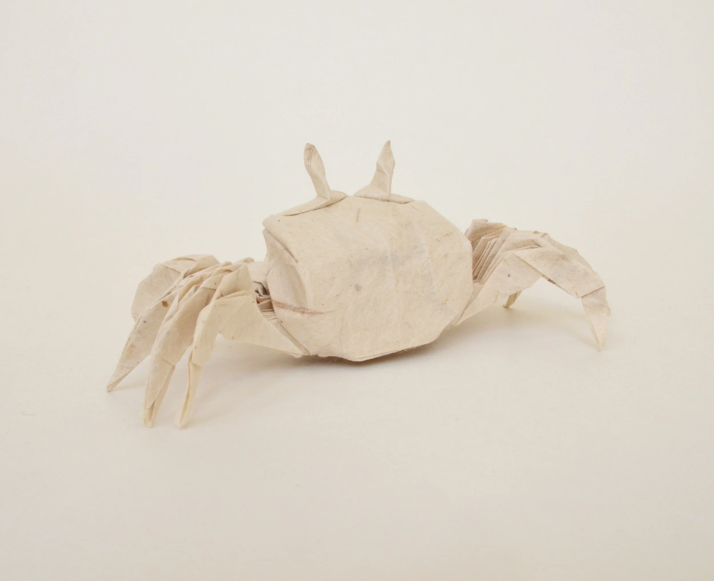 ghostcrab3.JPG