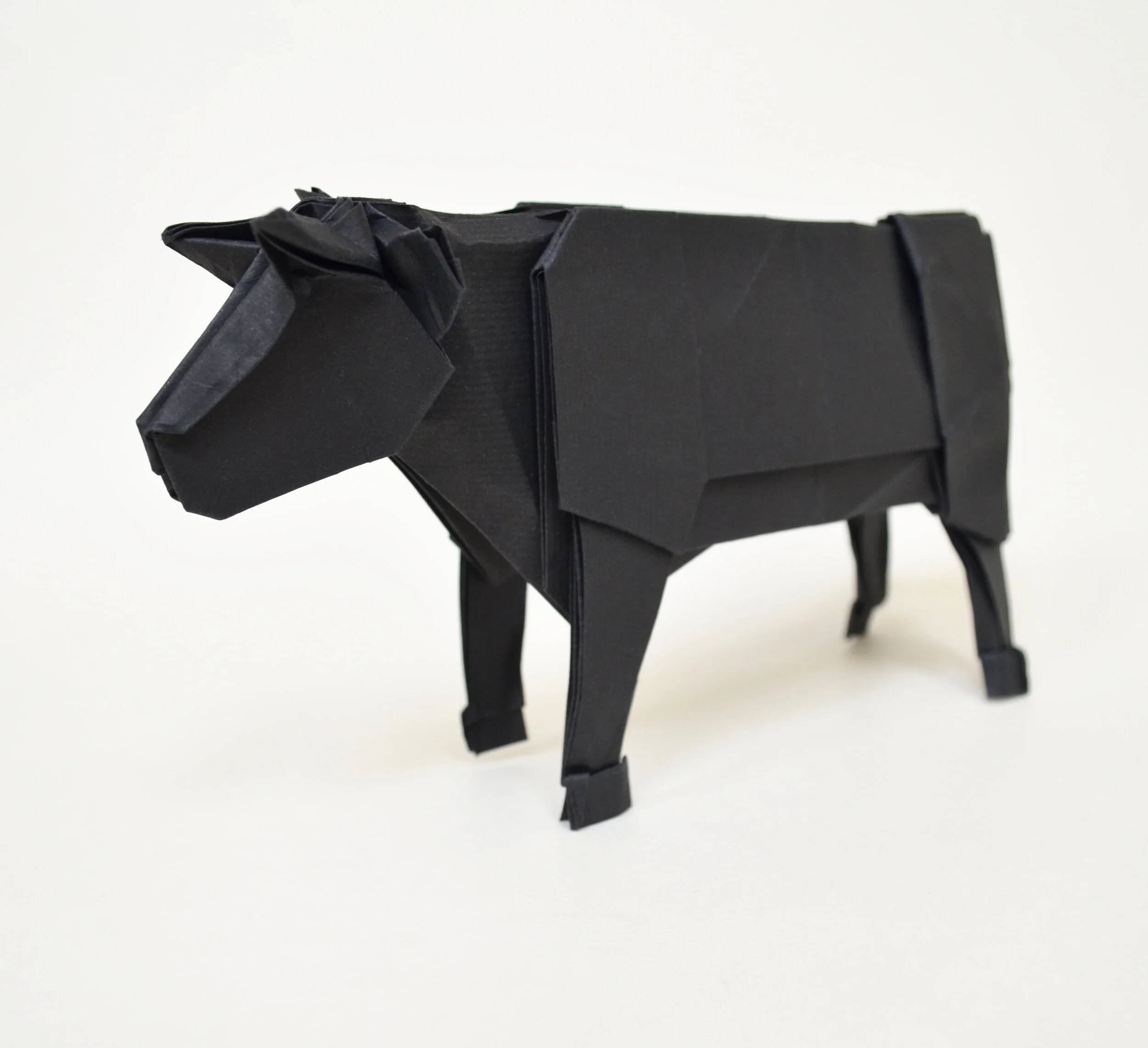 blackcattle2.JPG
