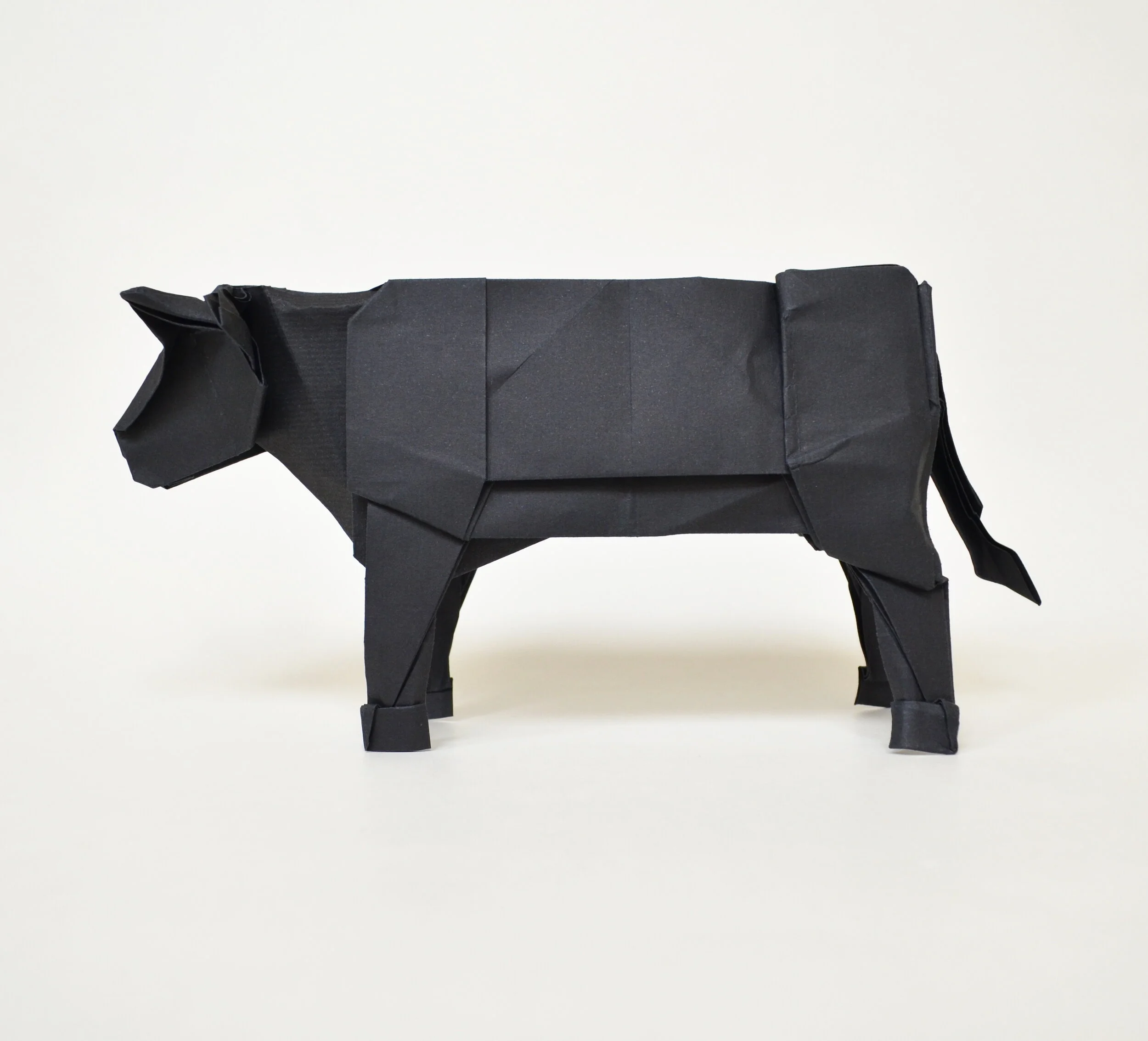 blackcattle1.JPG