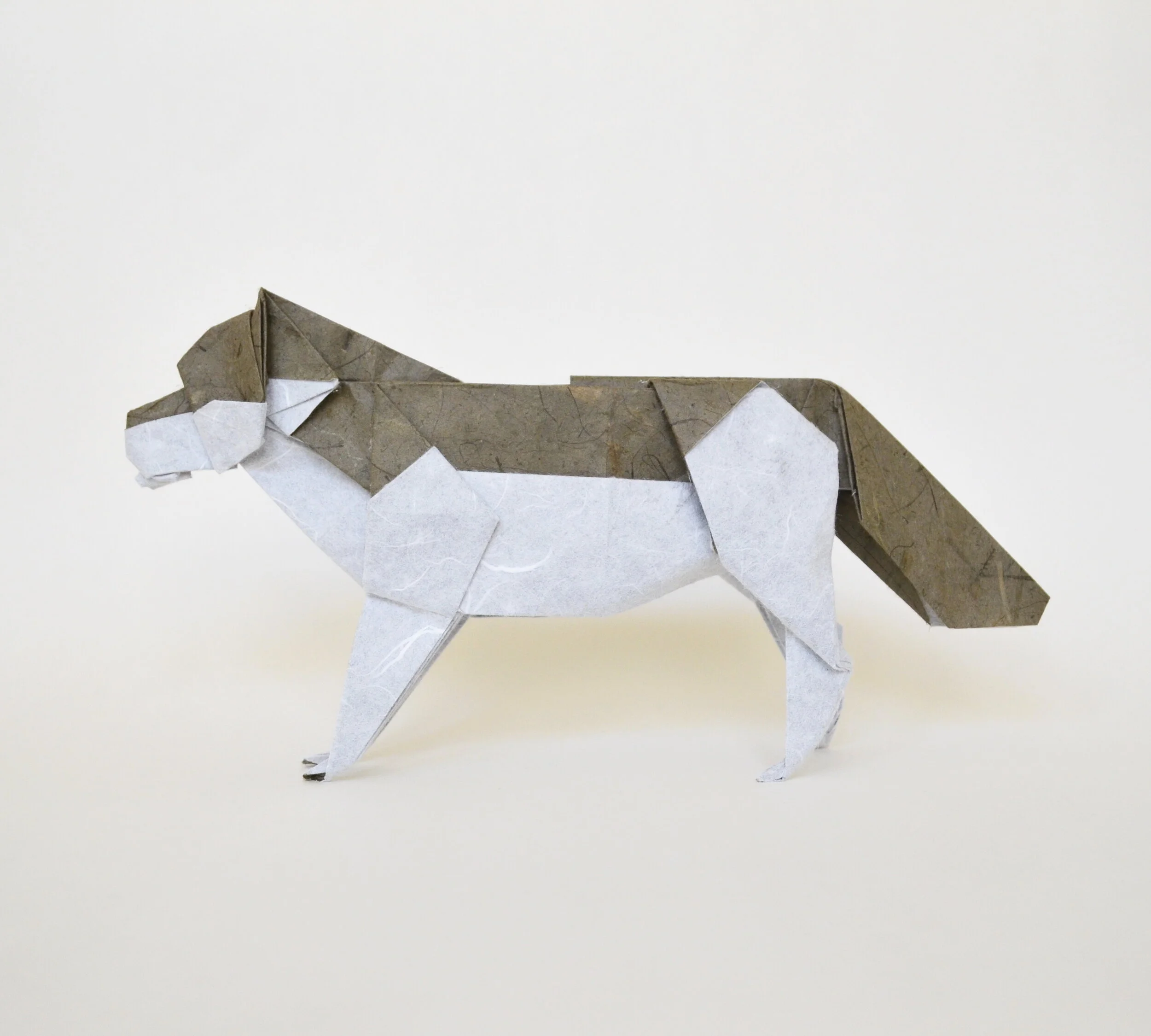 wolf1.JPG