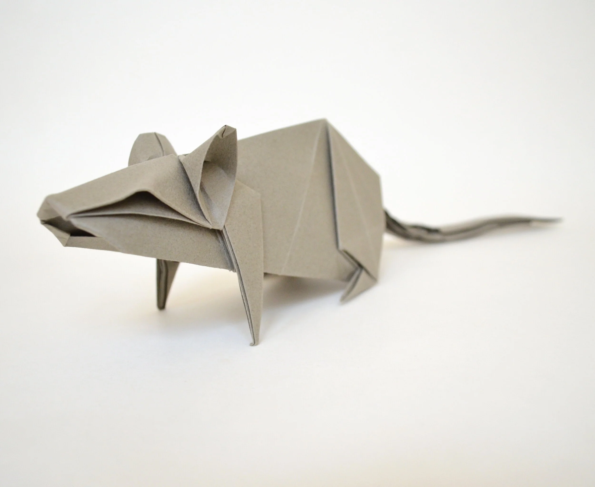 rat2.JPG