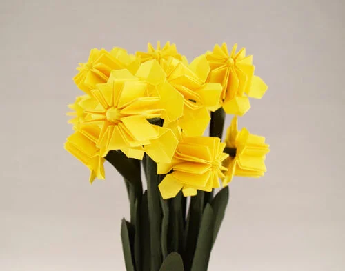 daffodil3.jpg