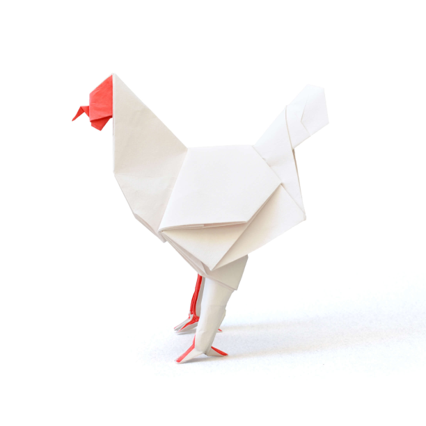 chicken.png