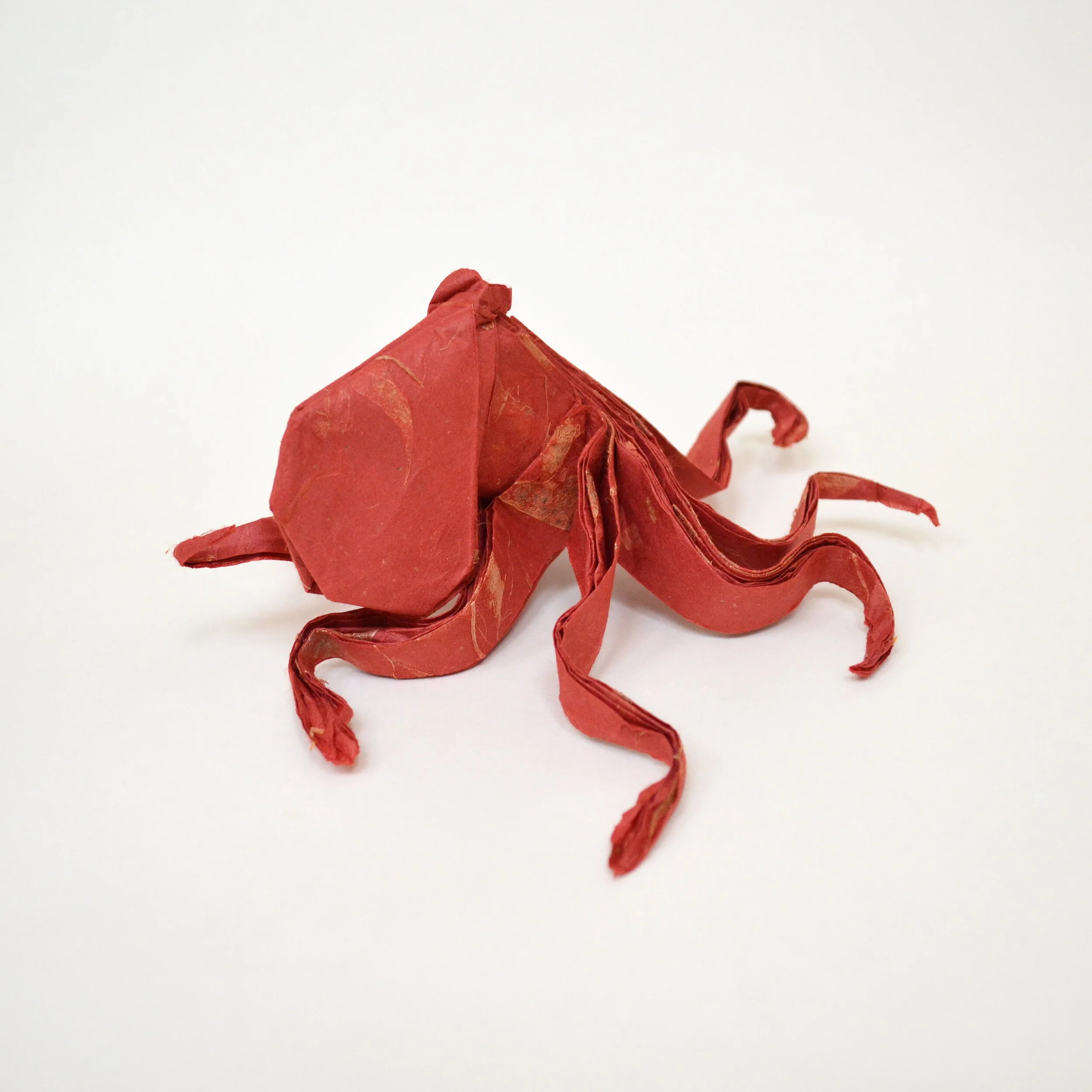 RedOctopus2.JPG