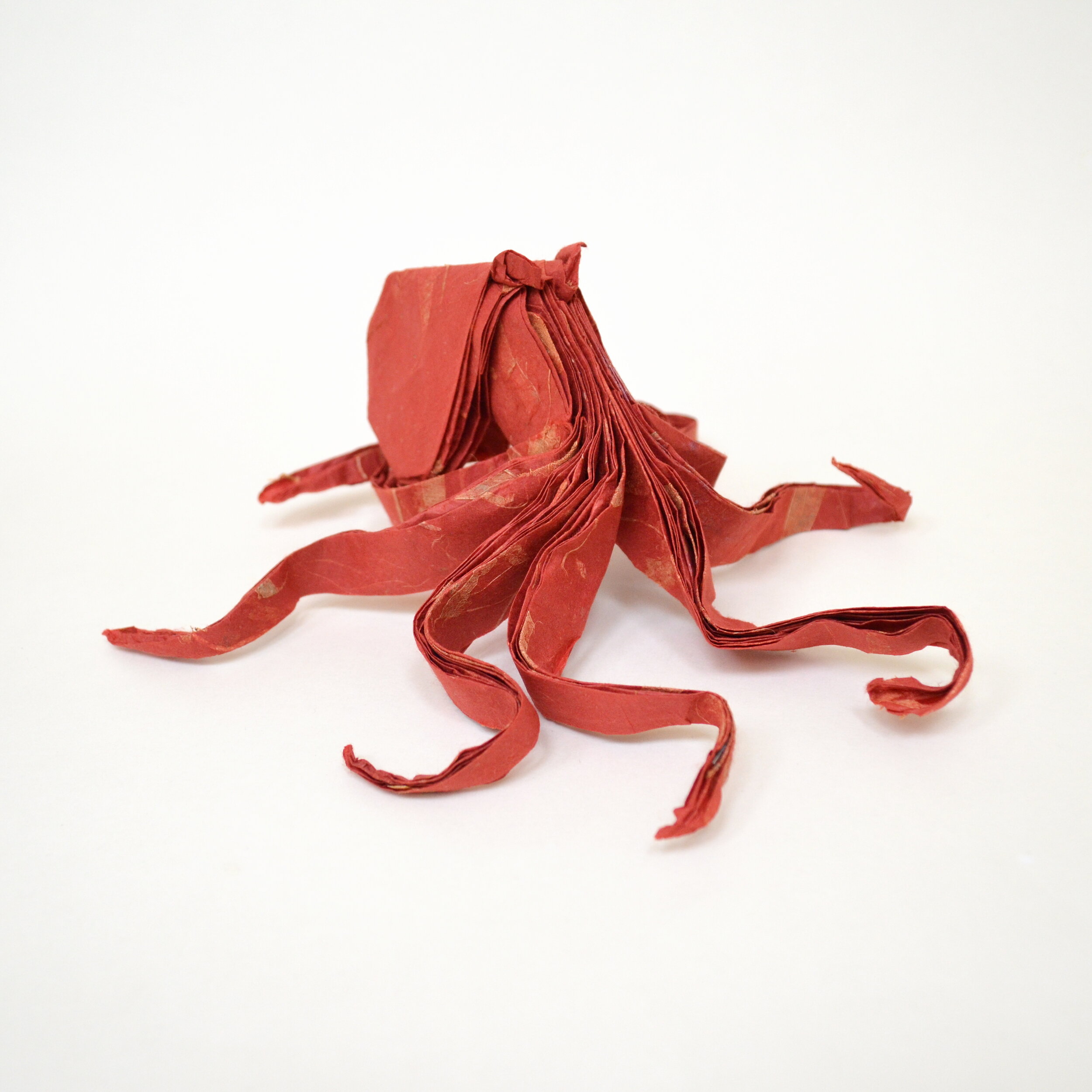 RedOctopus3.JPG