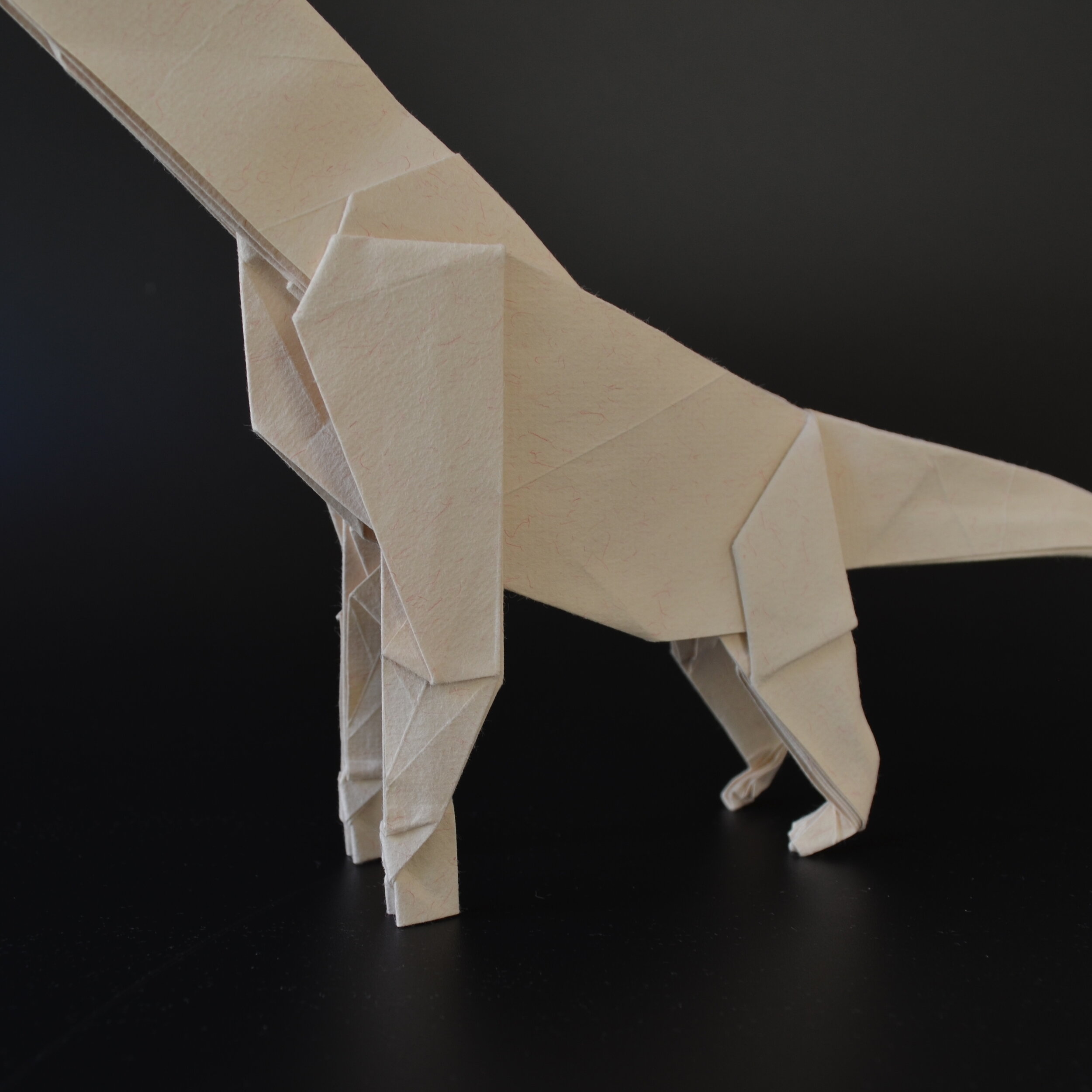 Cedarosaurus — Origami