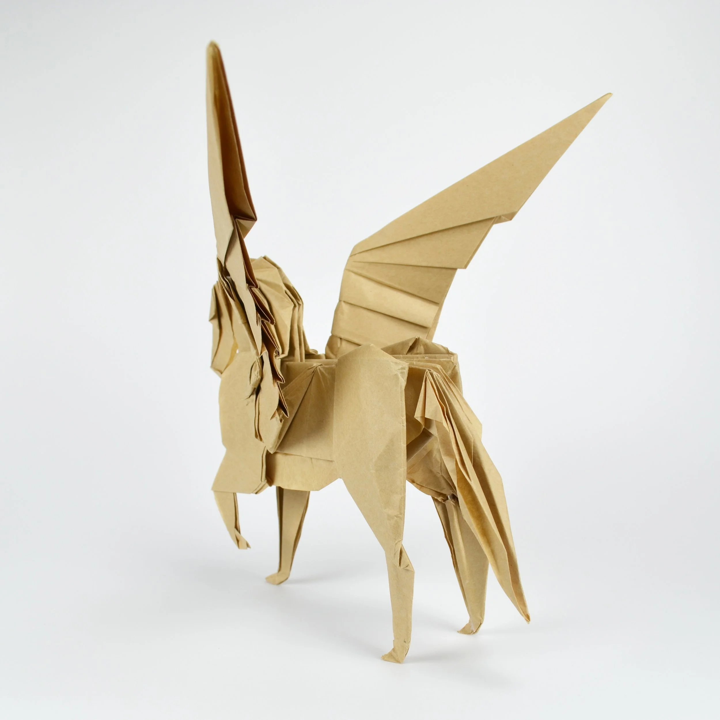 Pegasus2.JPG