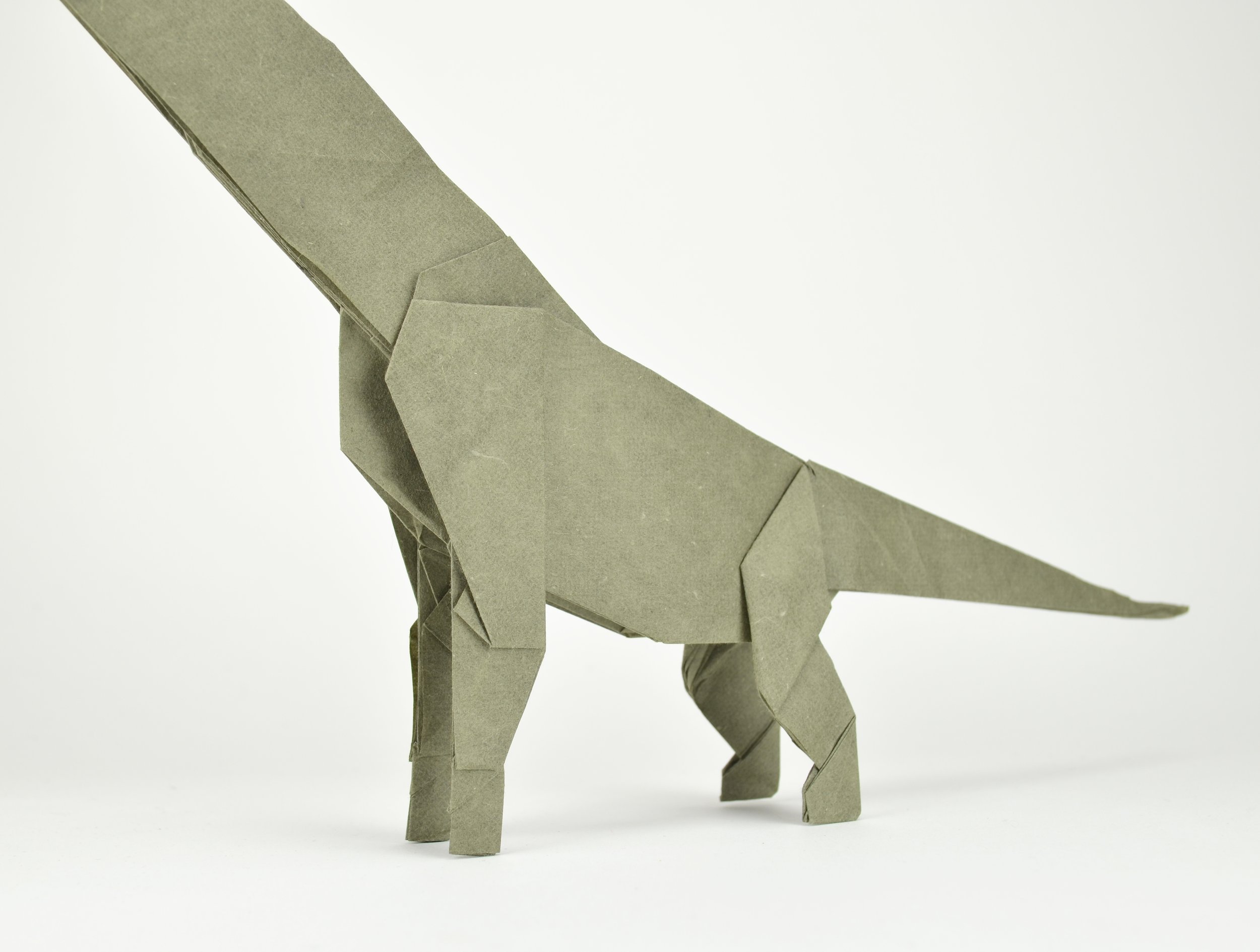 Cedarosaurus2.JPG
