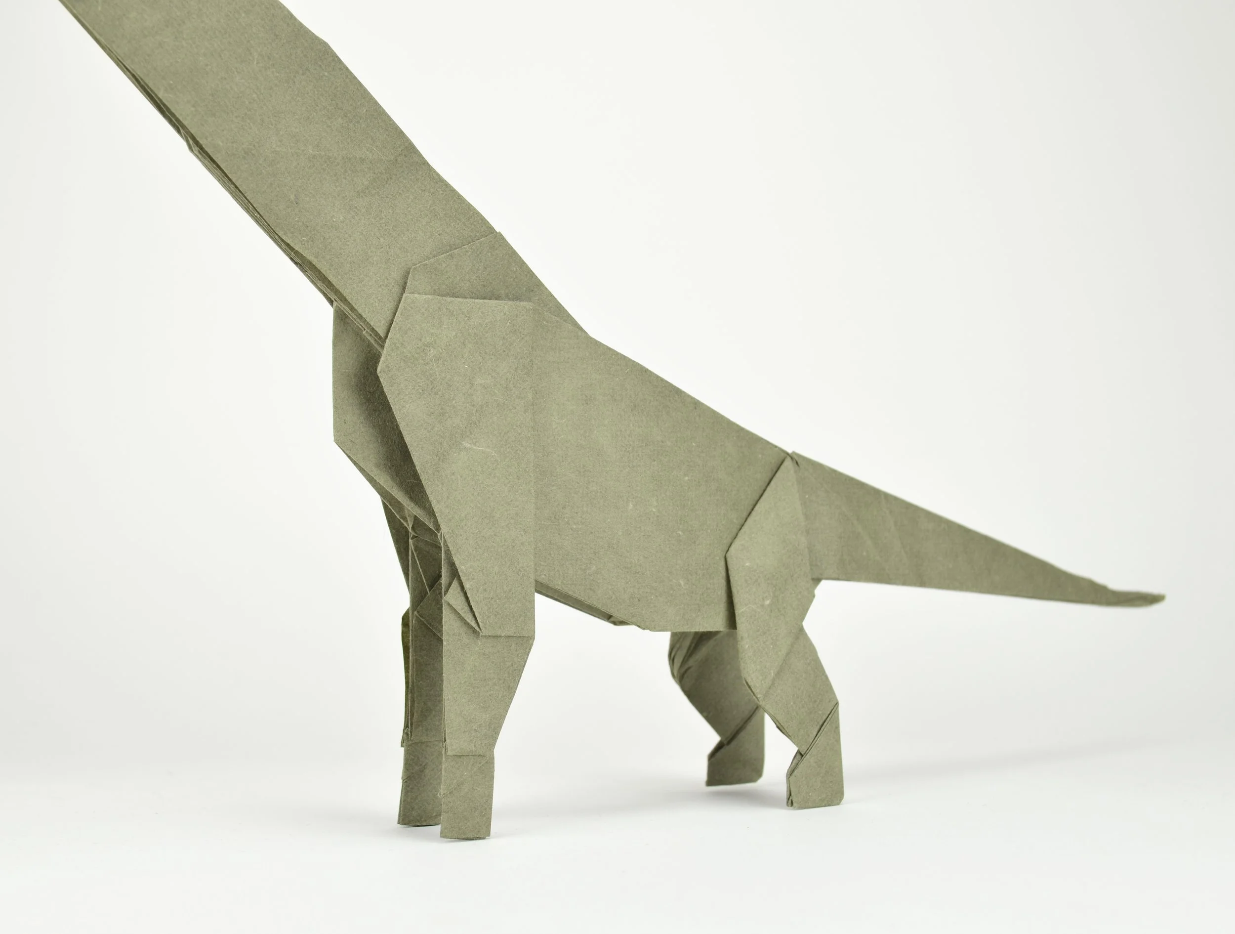 Cedarosaurus — Origami